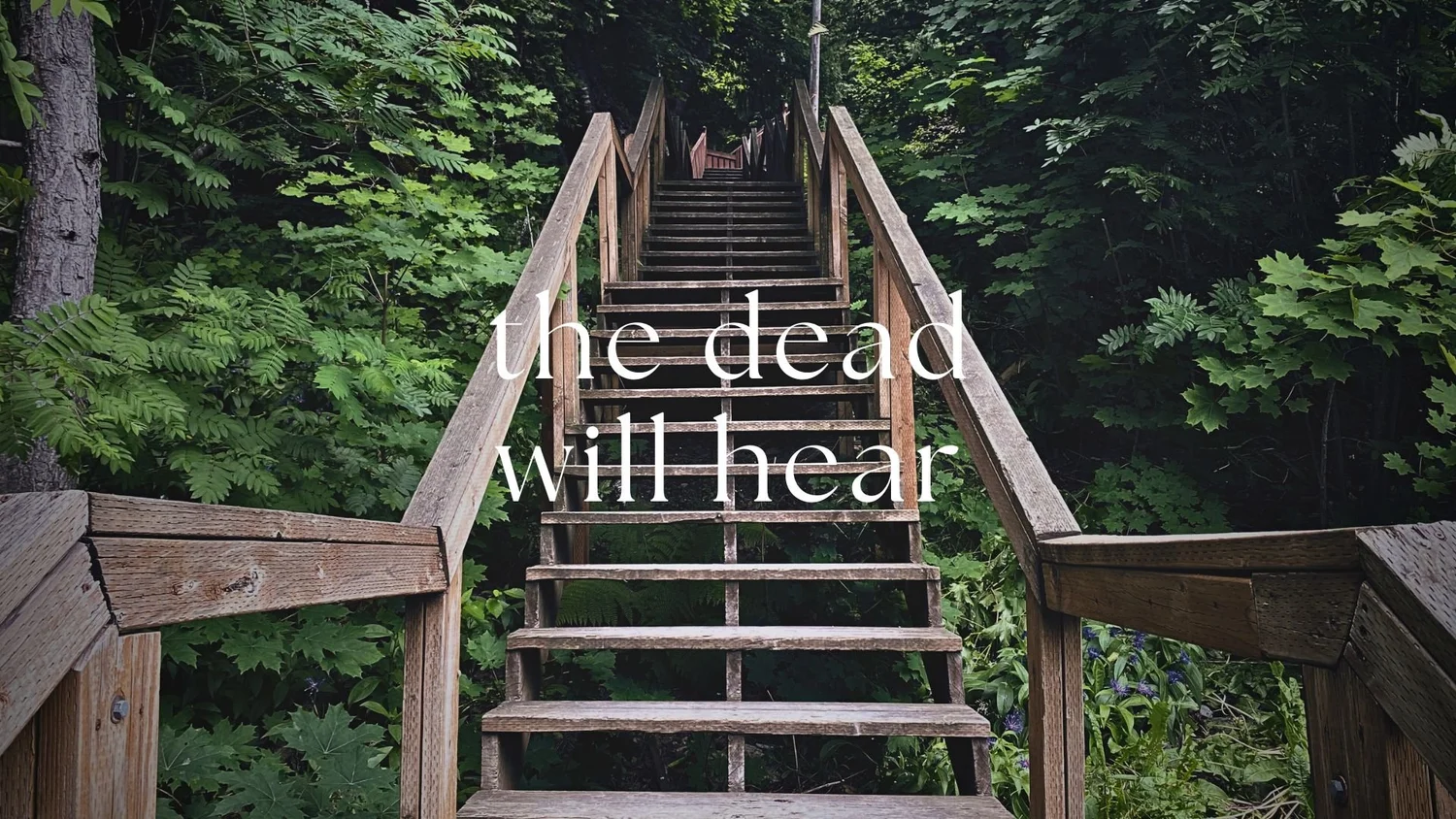The Dead Will Hear episode artwork