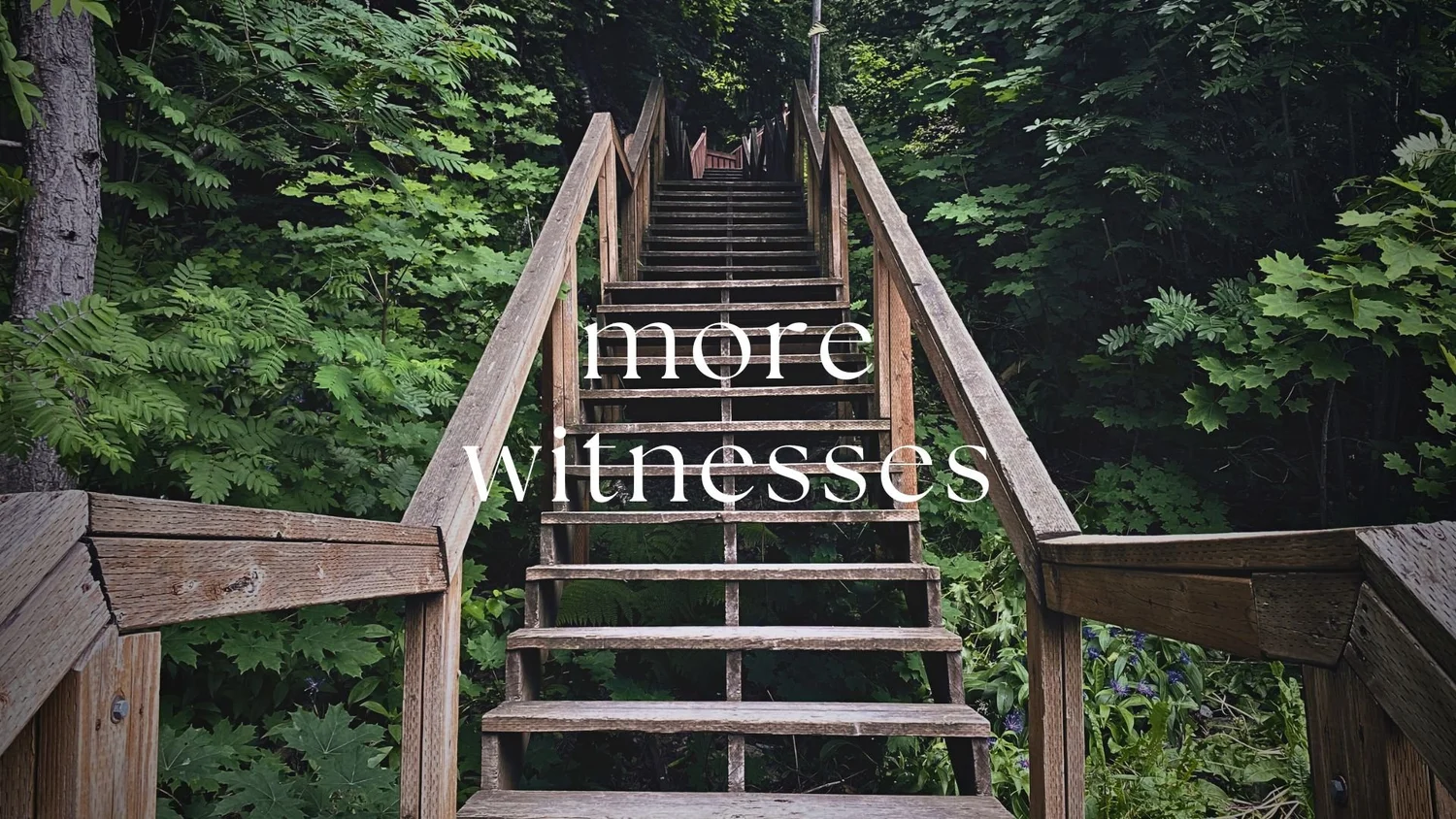 More Witnesses episode artwork