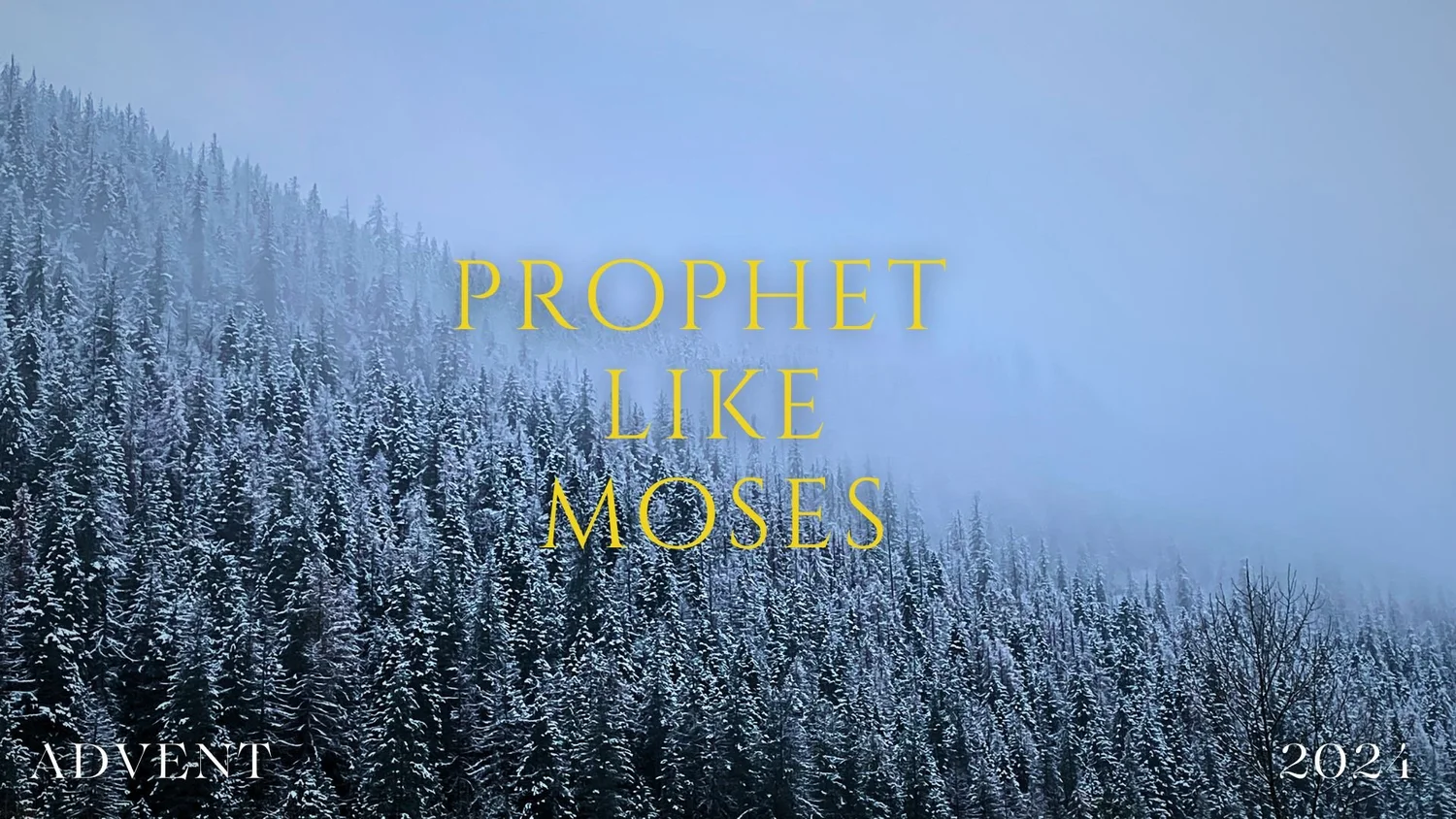 Prophet Like Moses episode artwork