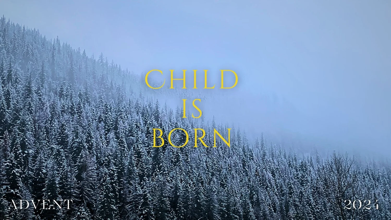 Child is Born episode artwork