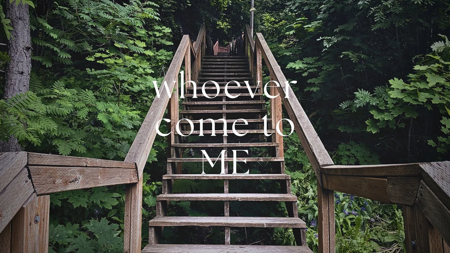 Whoever Comes to Me episode artwork