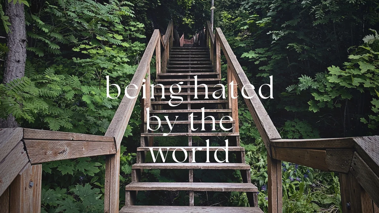 Being Hated By The World episode artwork