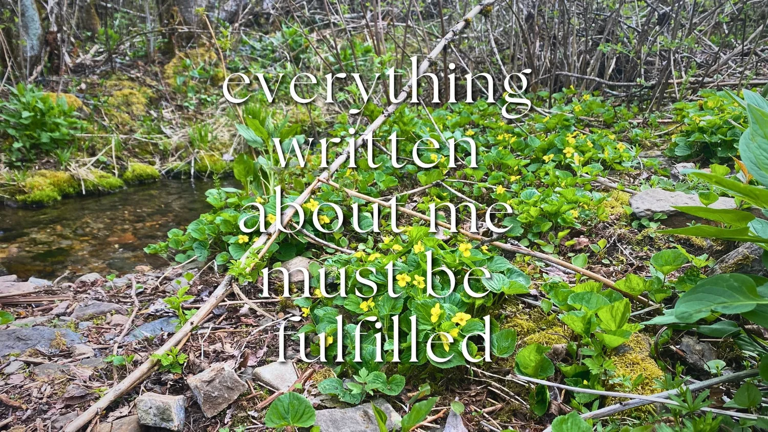 Everything Written About Me Must Be Fulfilled episode artwork