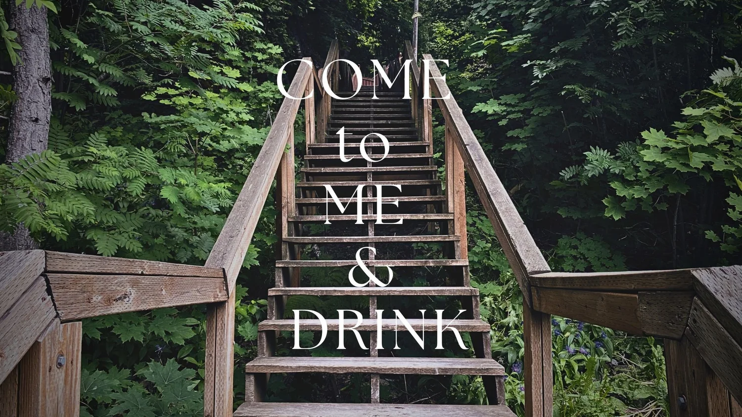 Come to Me and Drink episode artwork