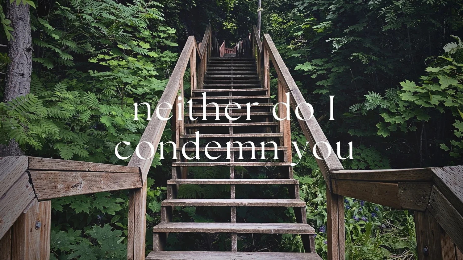Neither Do I Condemn You episode artwork