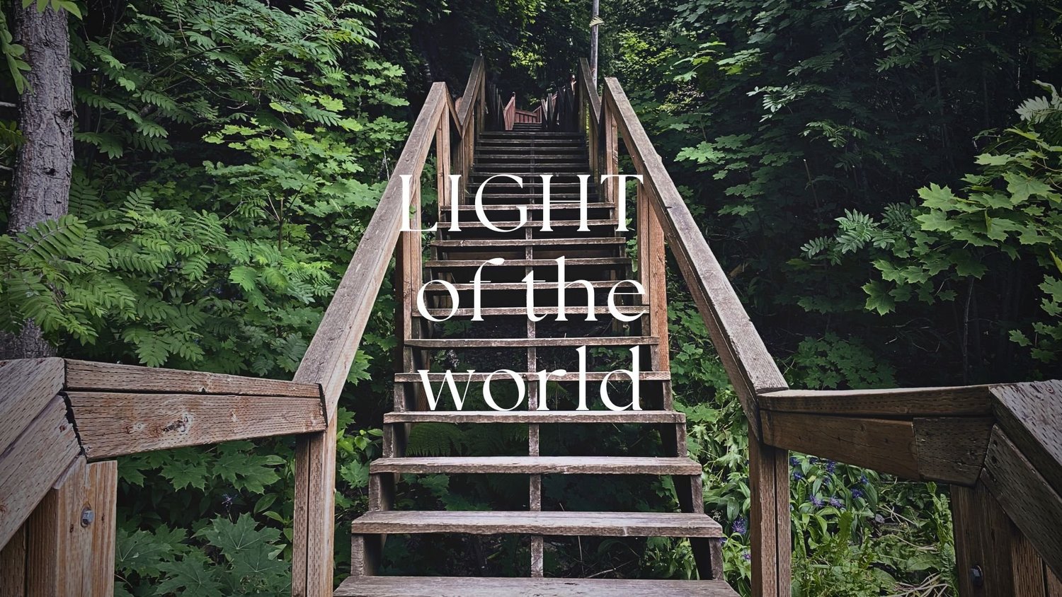Light of the World episode artwork