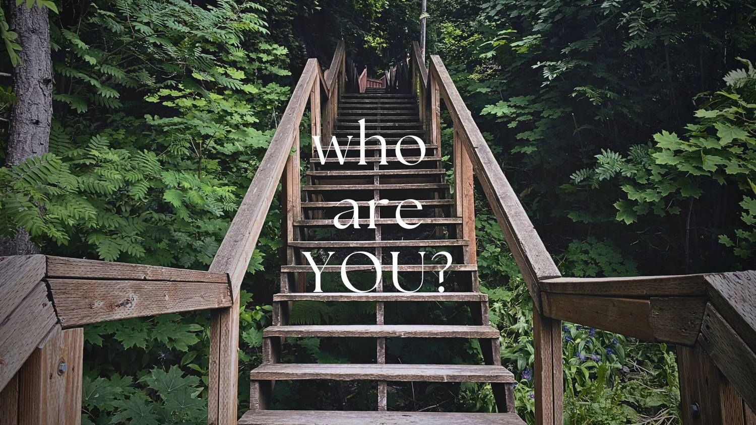 Who Are You? episode artwork