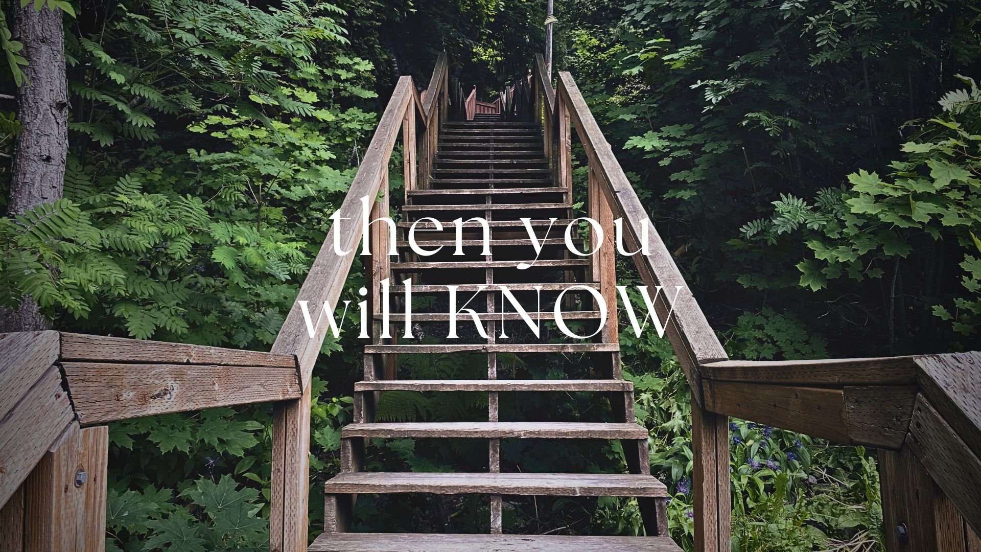 Then You Will Know