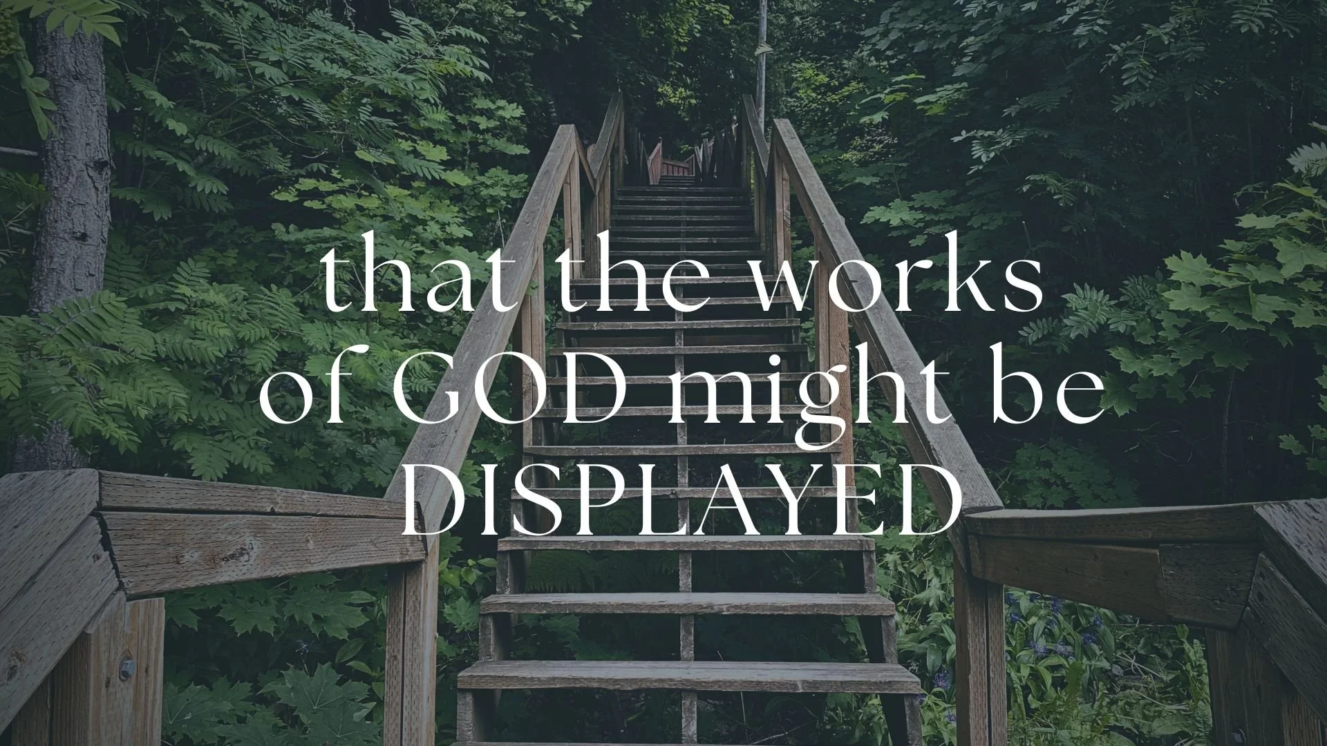 That the Works of God Might Be Displayed