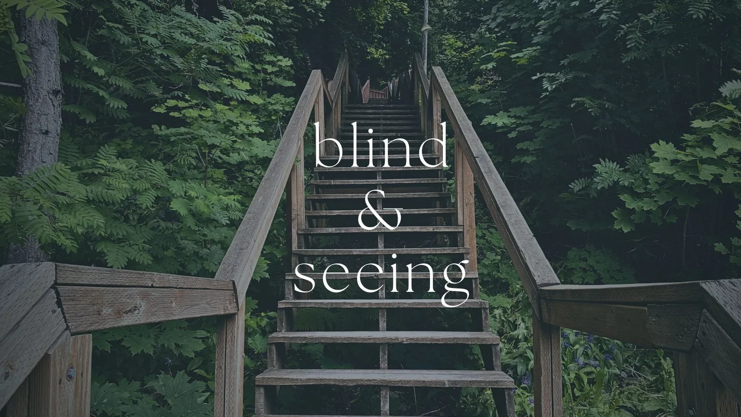 Blind & Seeing Pt. 2 episode artwork