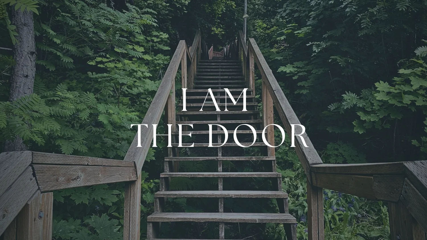 I Am The Door episode artwork