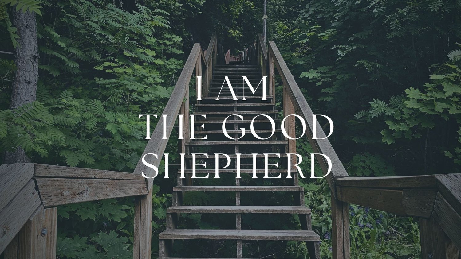 I Am The Good Shepherd episode artwork