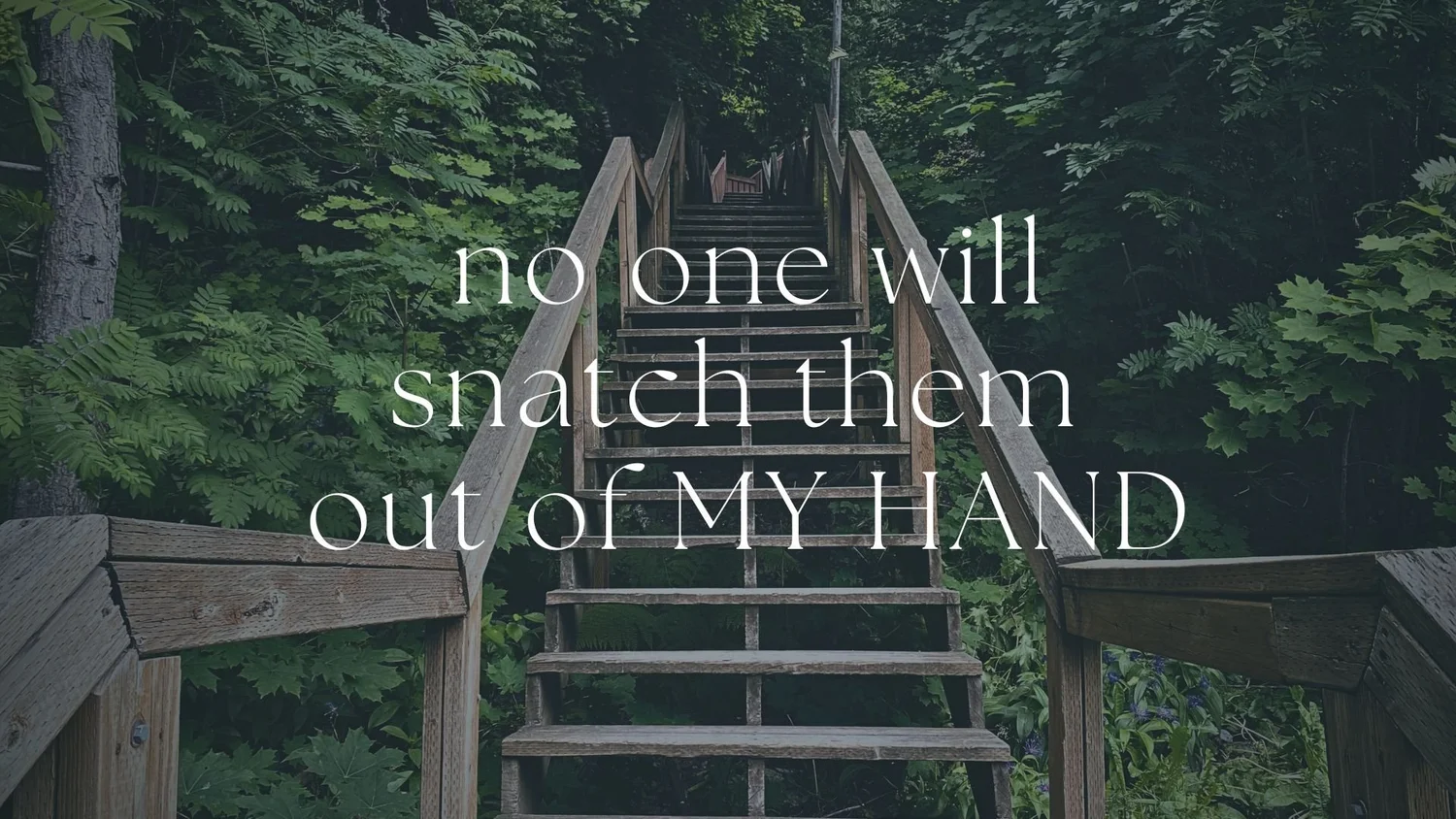 No One Will Snatch Them Out of My Hand episode artwork