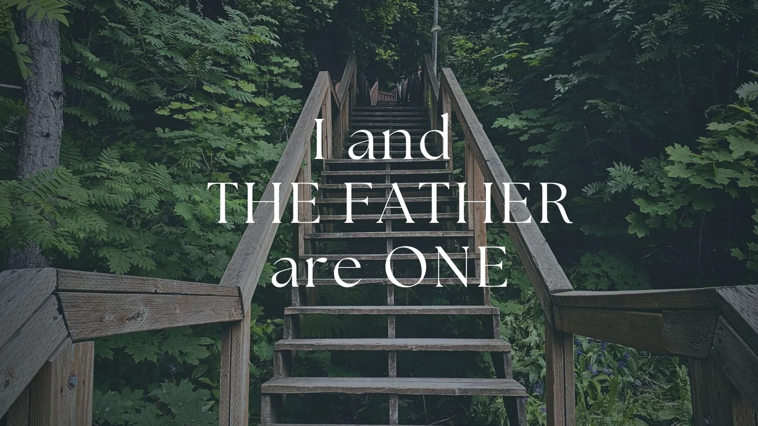 I and The Father are One episode artwork