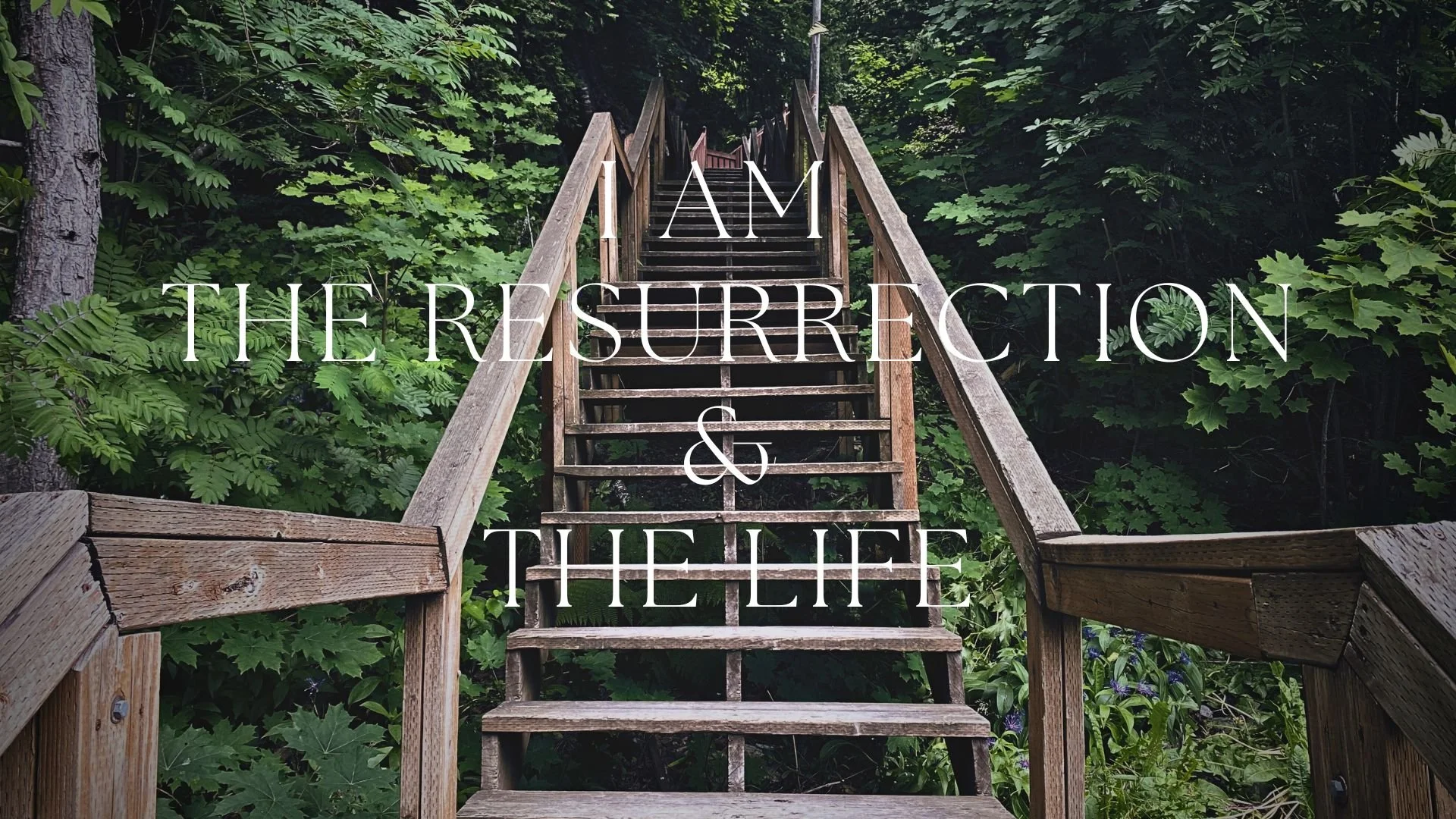 I Am The Resurrection and The Life