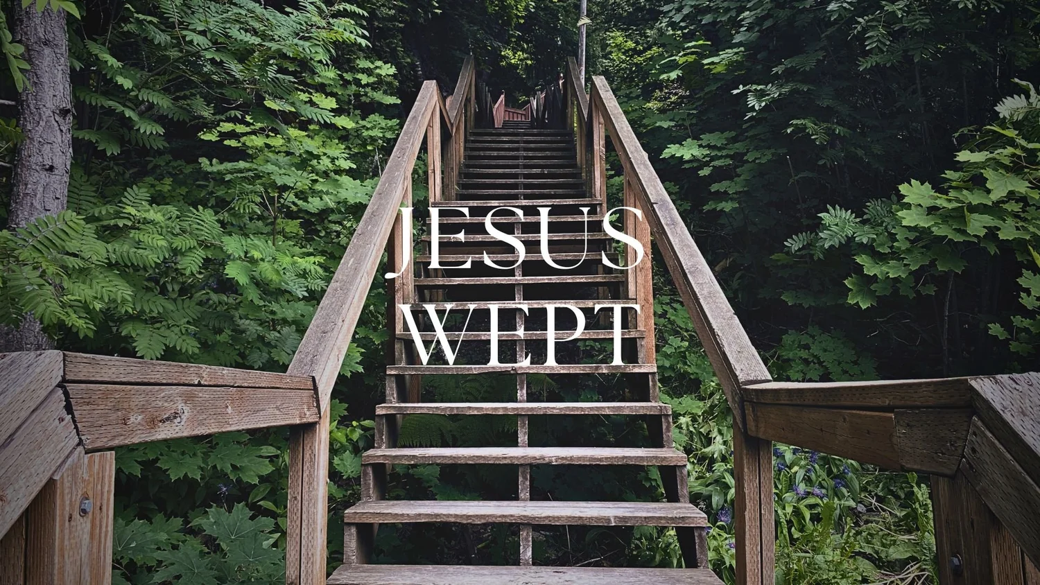 Jesus Wept episode artwork