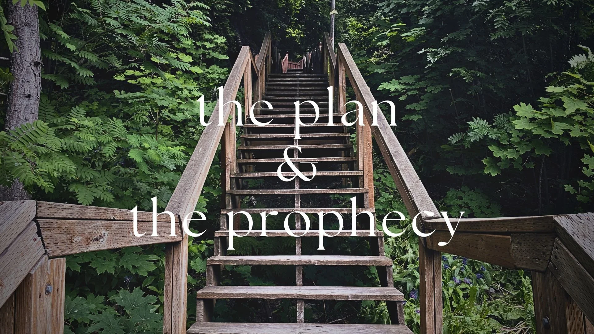 The Plan &amp; The Prophecy