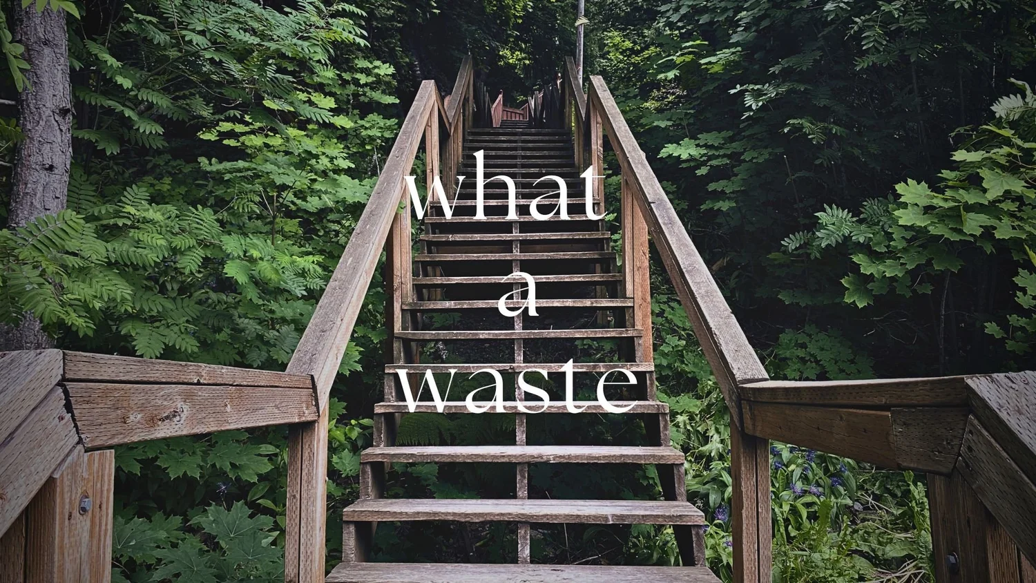 What a Waste episode artwork
