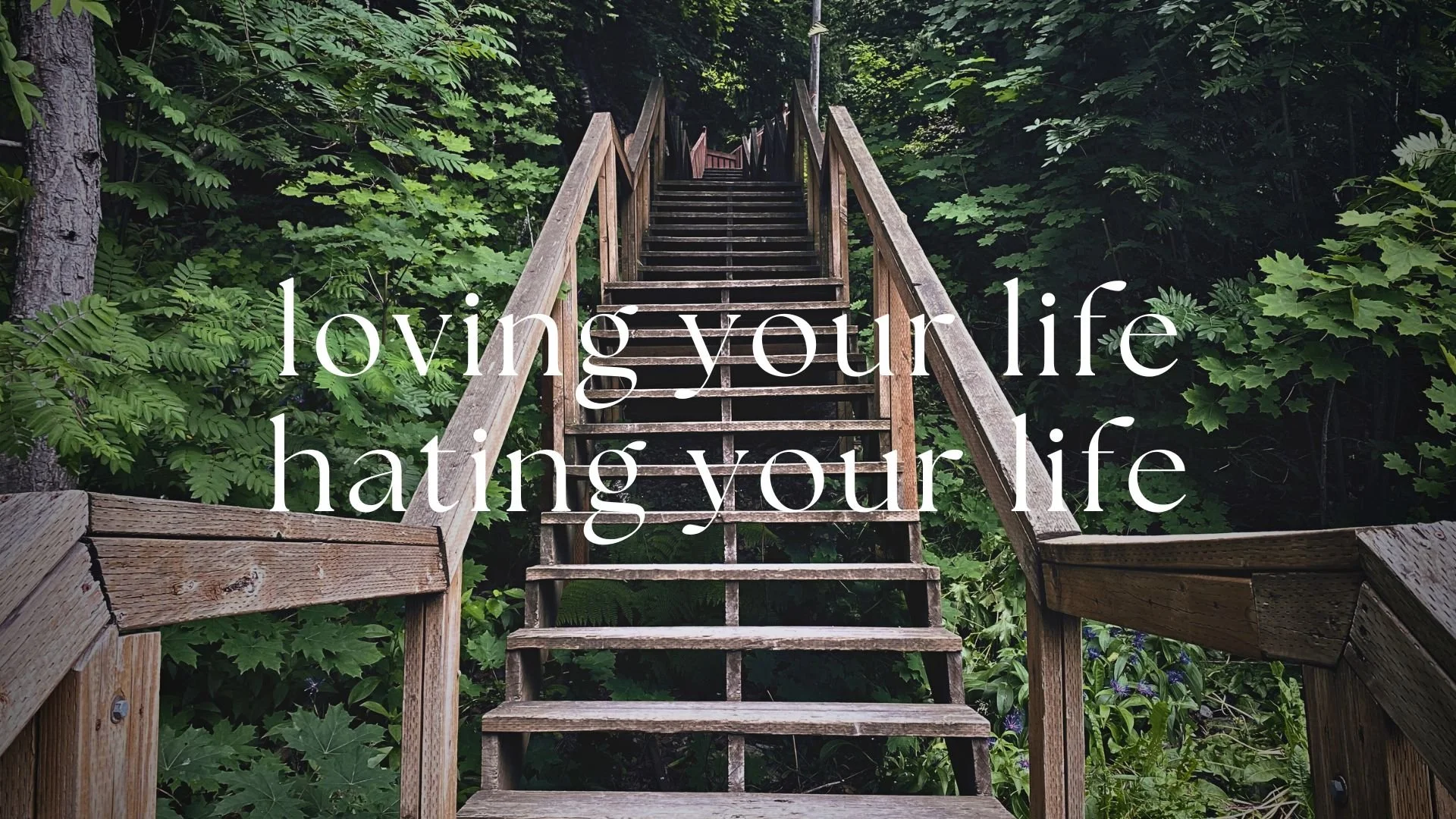 Loving Your Life, Hating Your Life