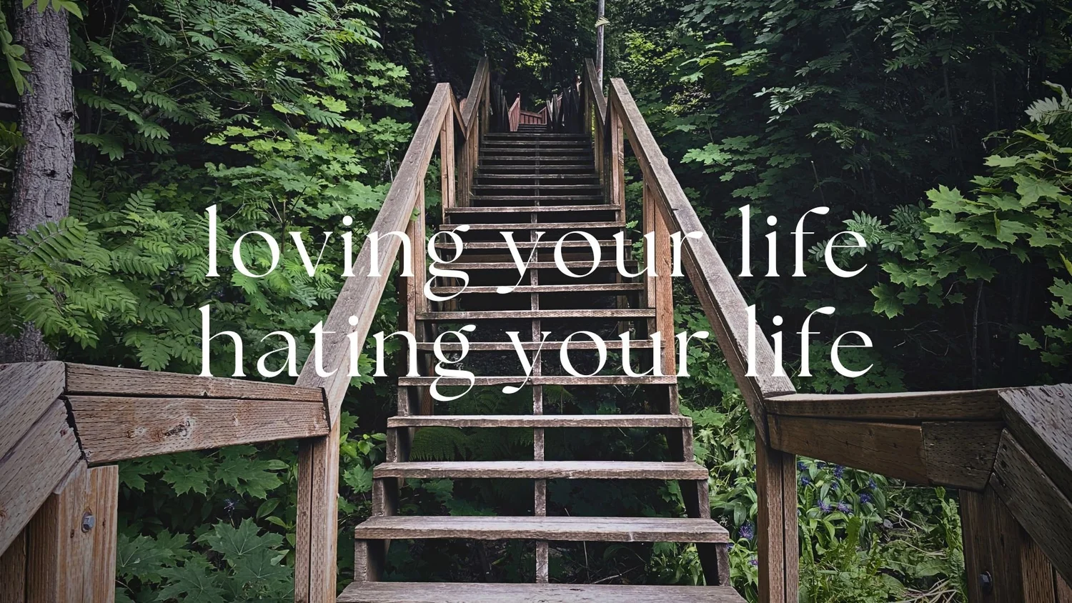 Loving Your Life, Hating Your Life episode artwork
