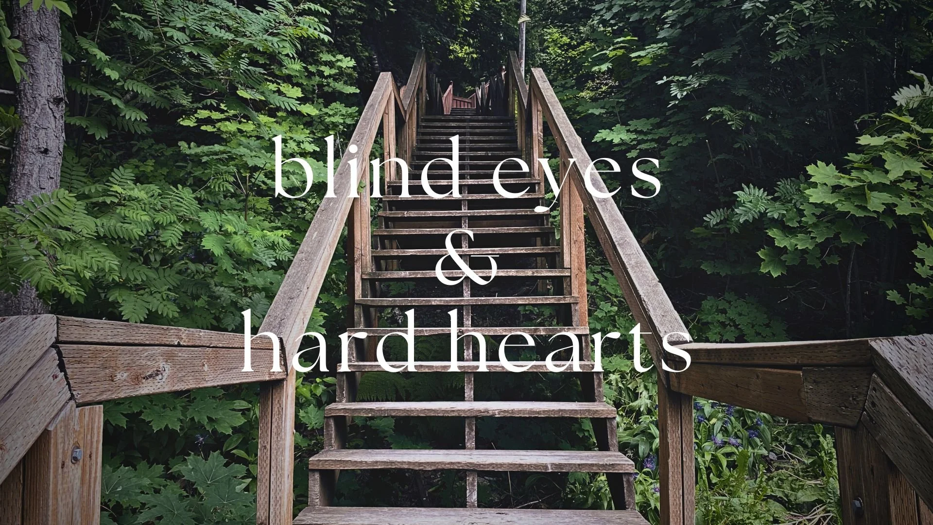 Blind Eyes &amp; Hard Hearts