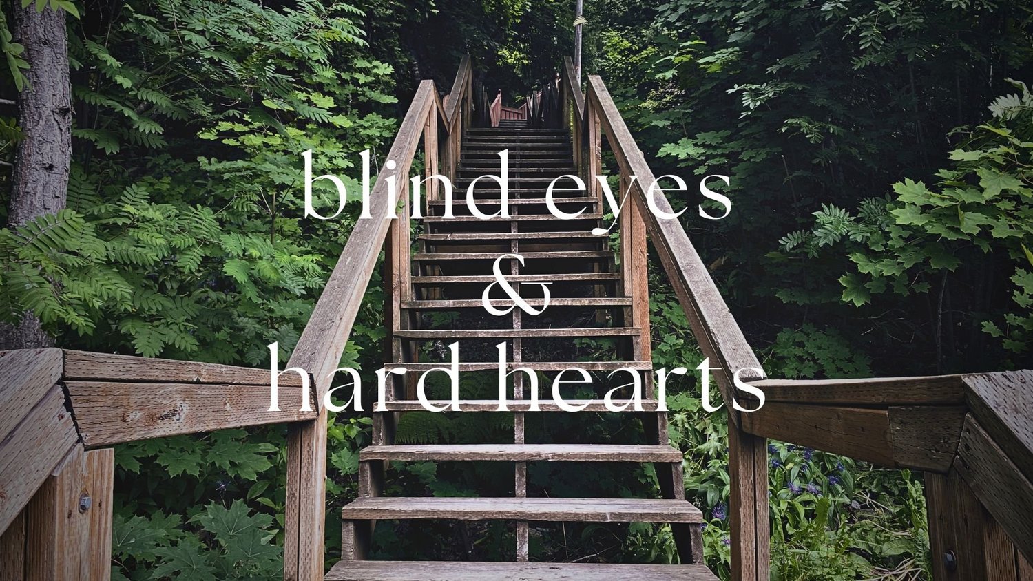 Blind Eyes & Hard Hearts episode artwork
