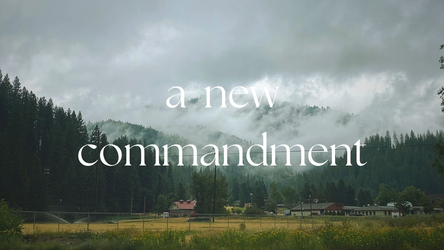A New Commandment episode artwork