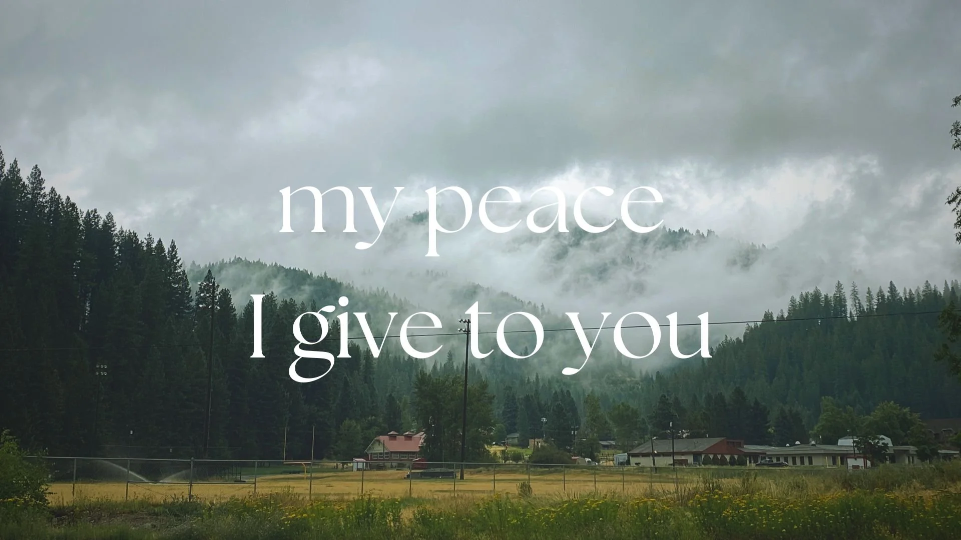 My Peace I Give to You