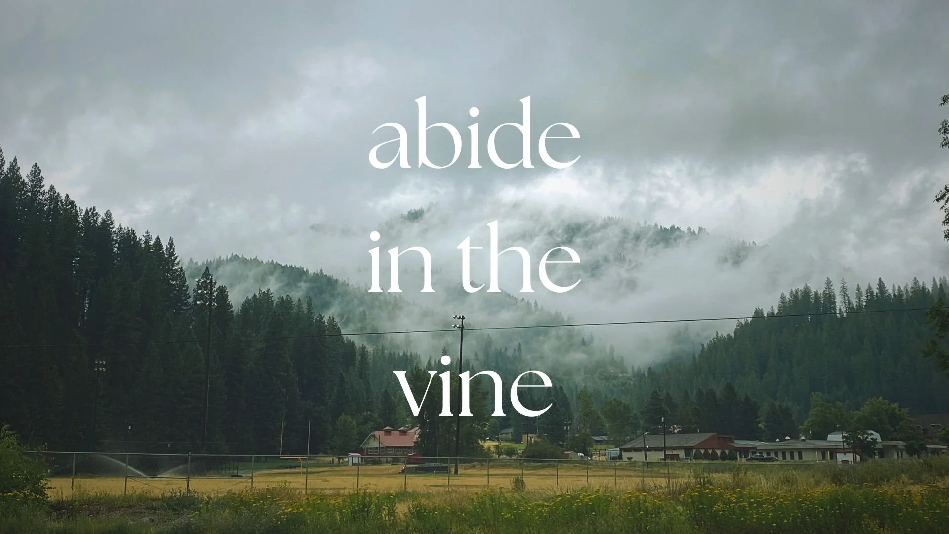 Abide in the Vine