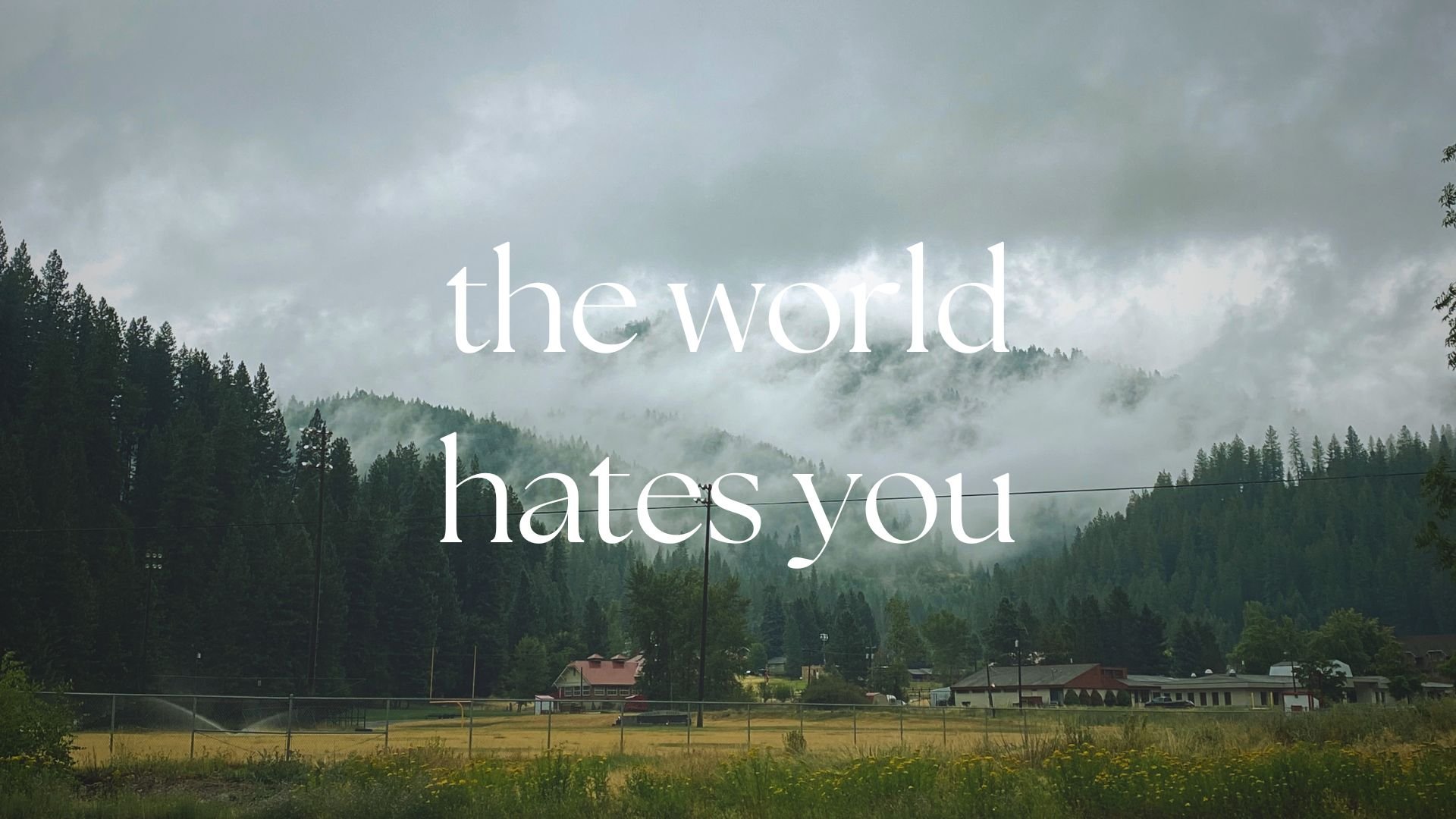 The World Hates You