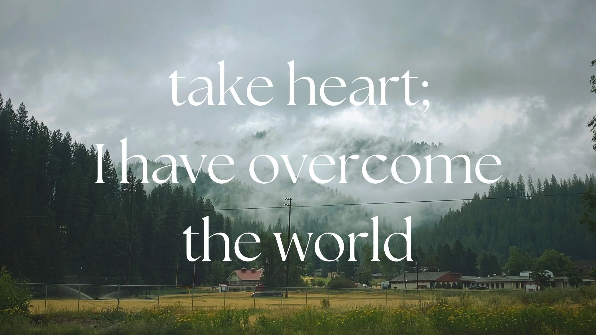 Take Heart; I Have Overcome the World