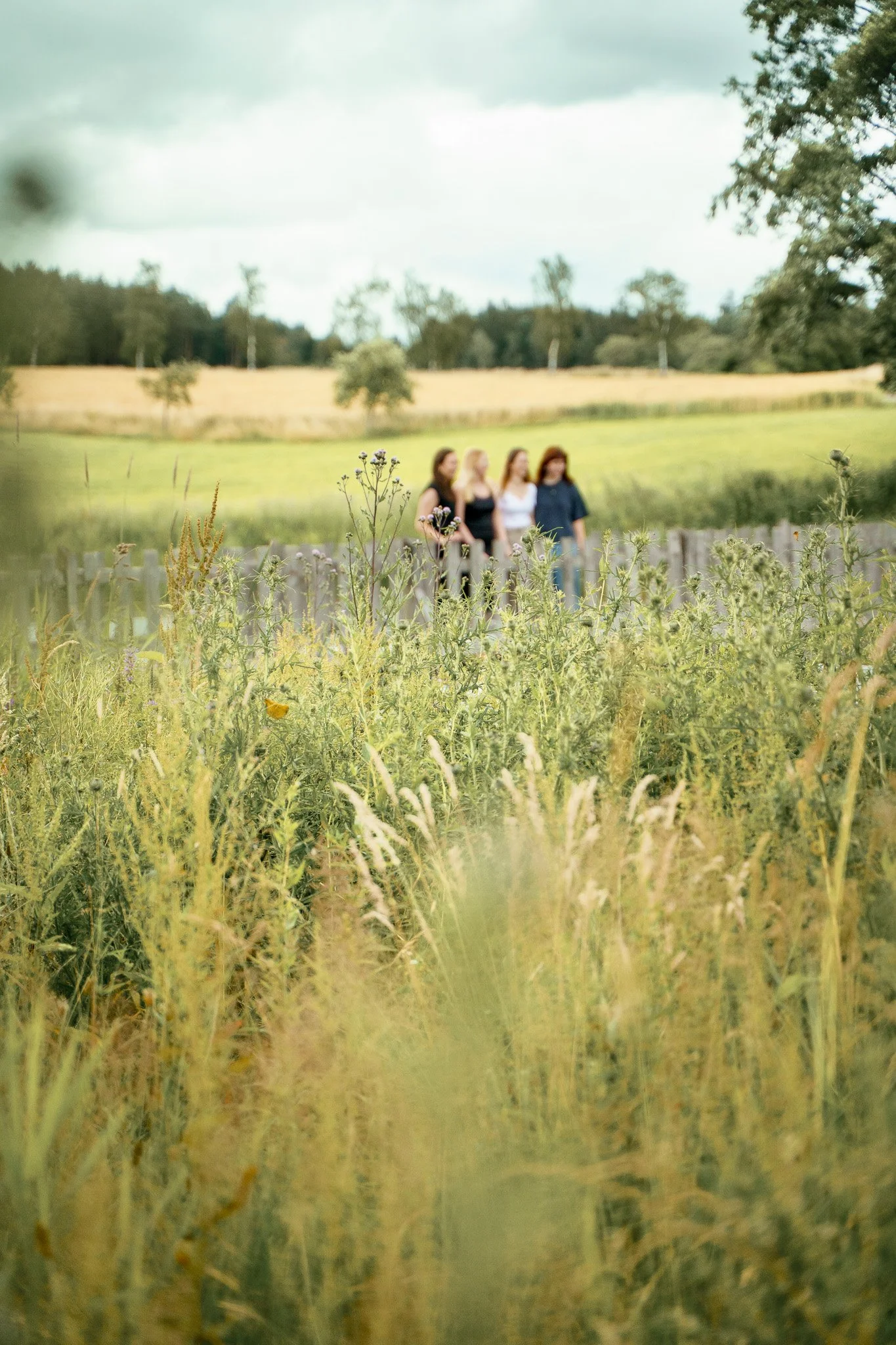 Vier Frauen stehen im Freien auf einer Wiese, umgeben von hohen Gräsern und Pflanzen, mit Bäumen und Feldern im Hintergrund, bei bewölktem Himmel.