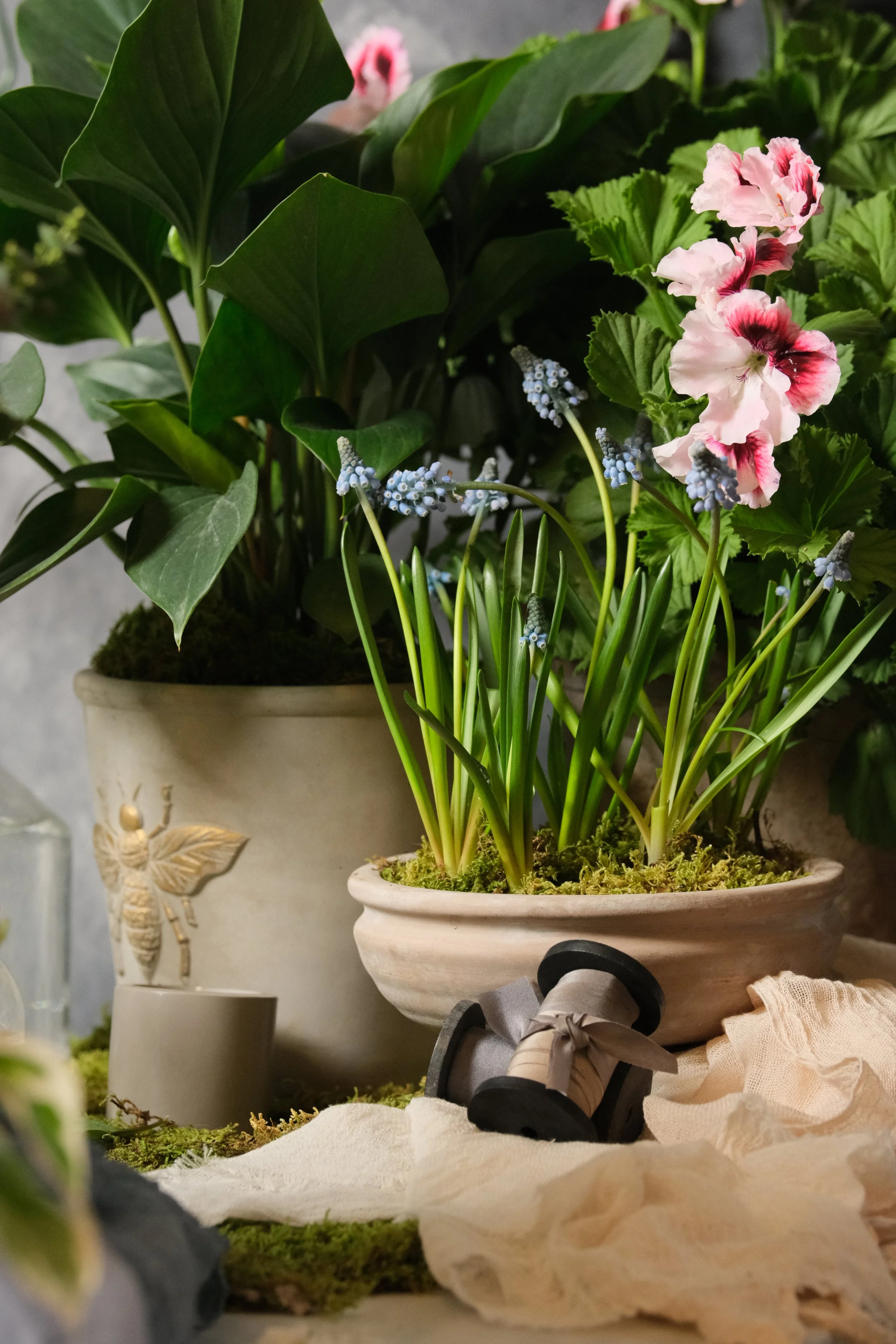 Curated Spring Planters