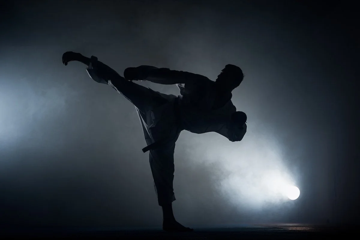 Scott Halsey's Kenpo Karate