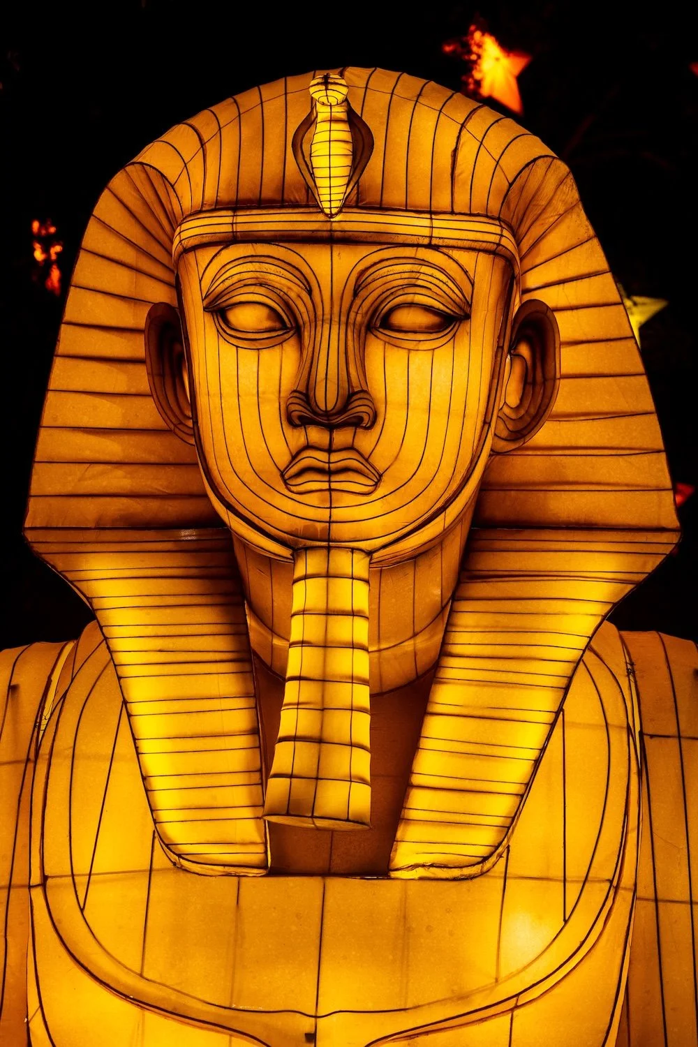 Turtle Bay Glowing Wild4.jpg