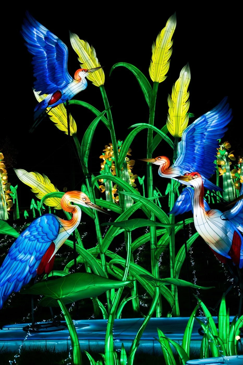 Turtle Bay Glowing Wild46.jpg