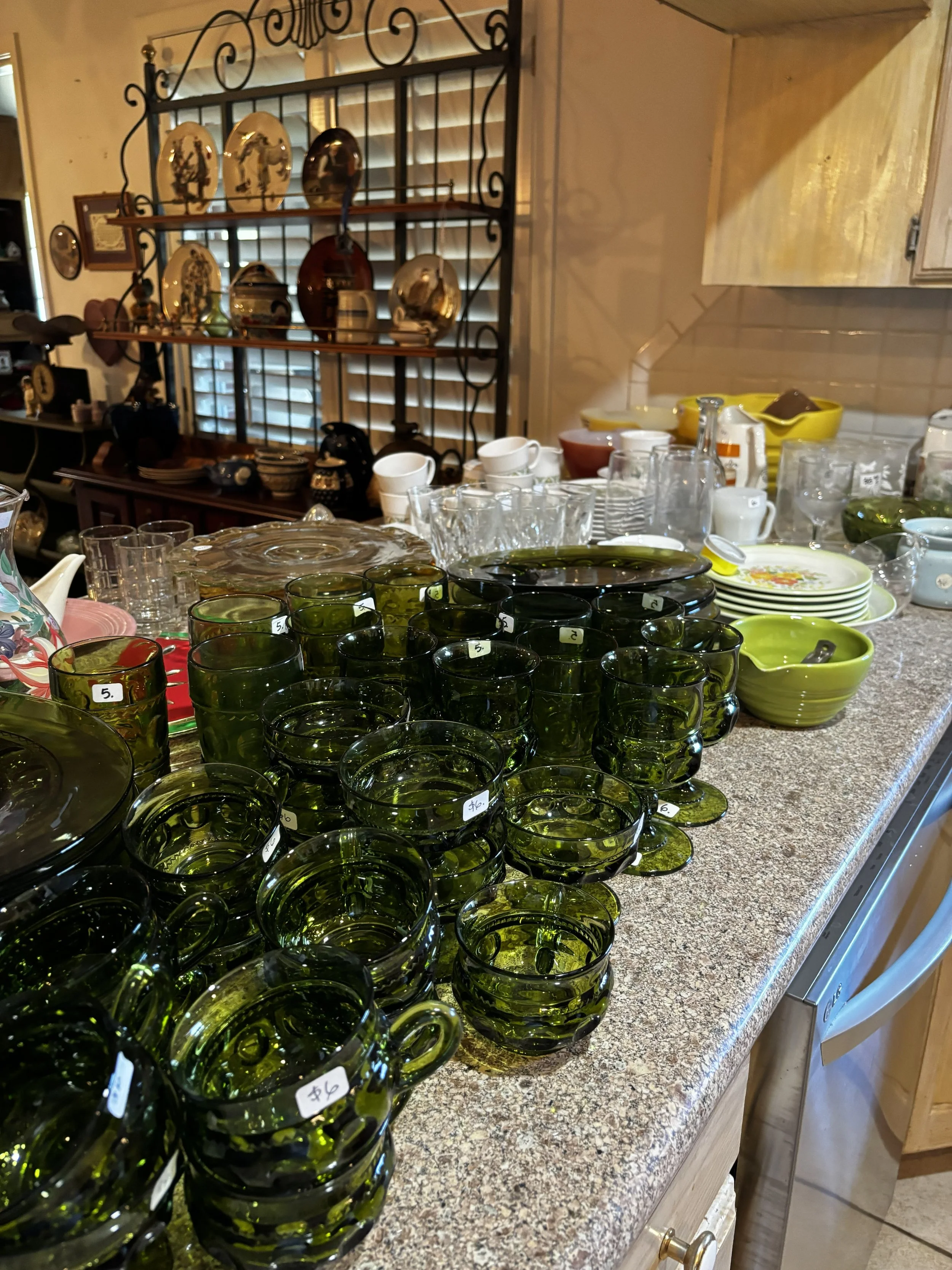 IMG_4466.jpeg
