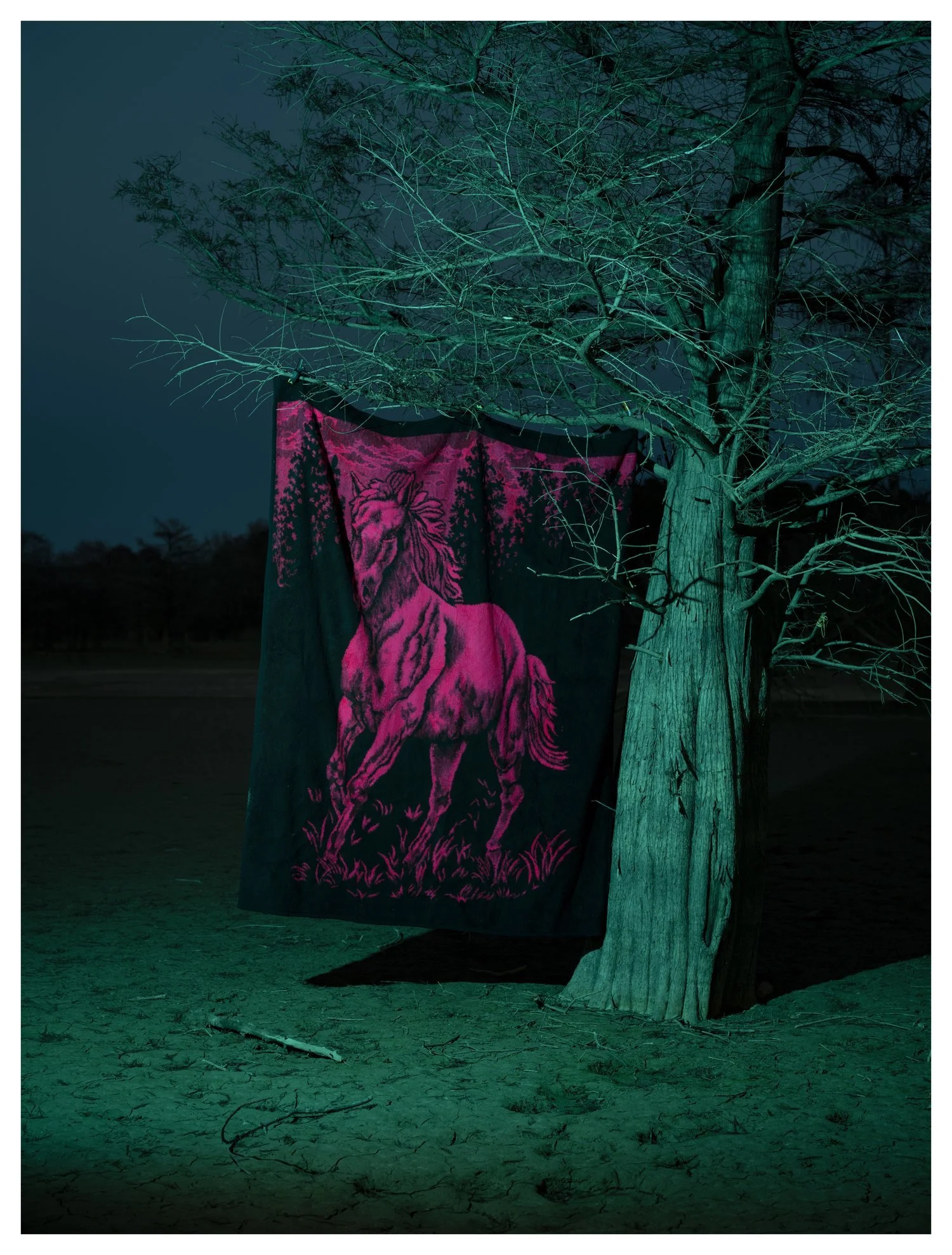 centaur_211208_0155.jpeg