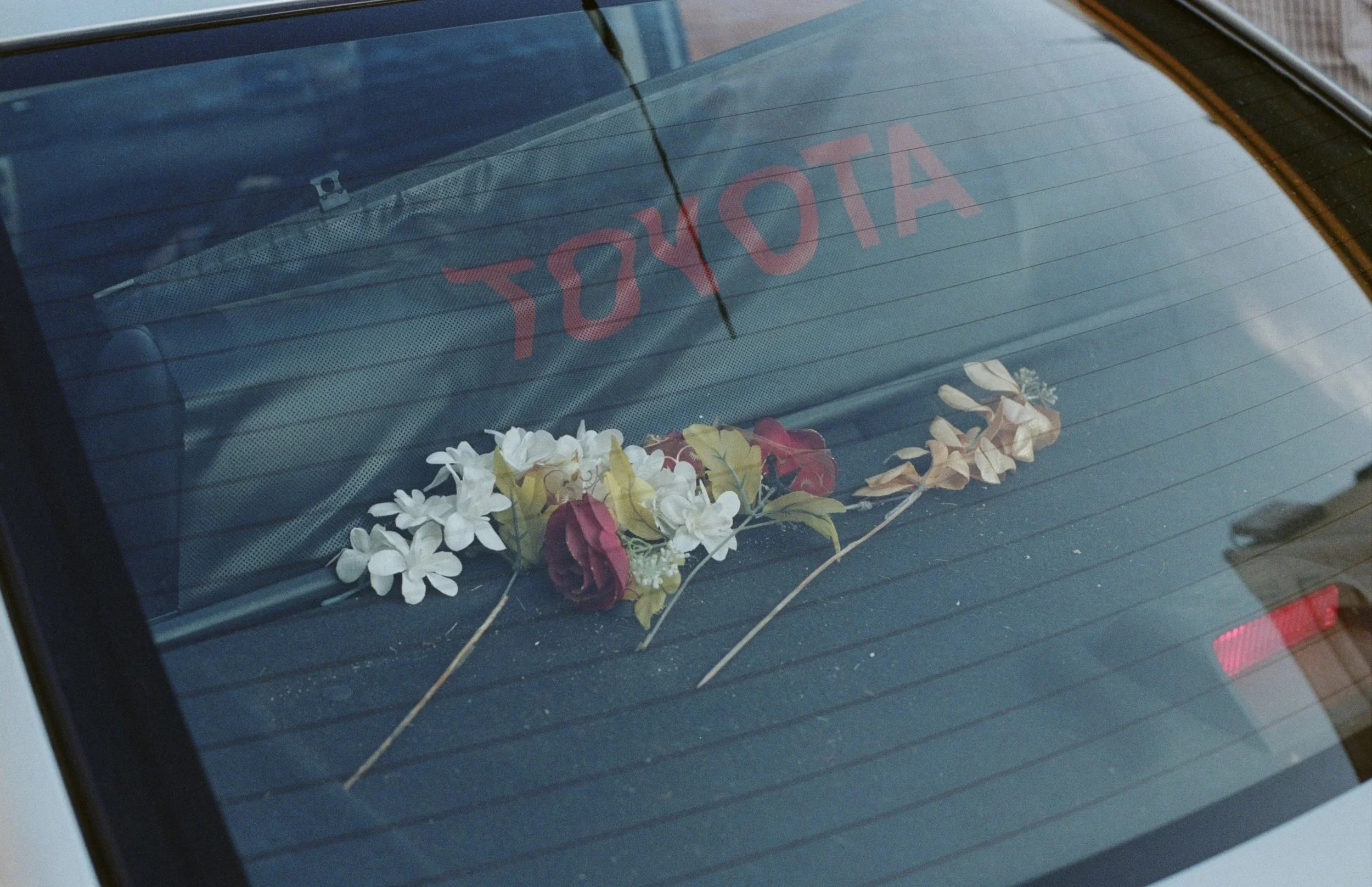  Toyota Flowers, Ramallah, Palestine, 2018 