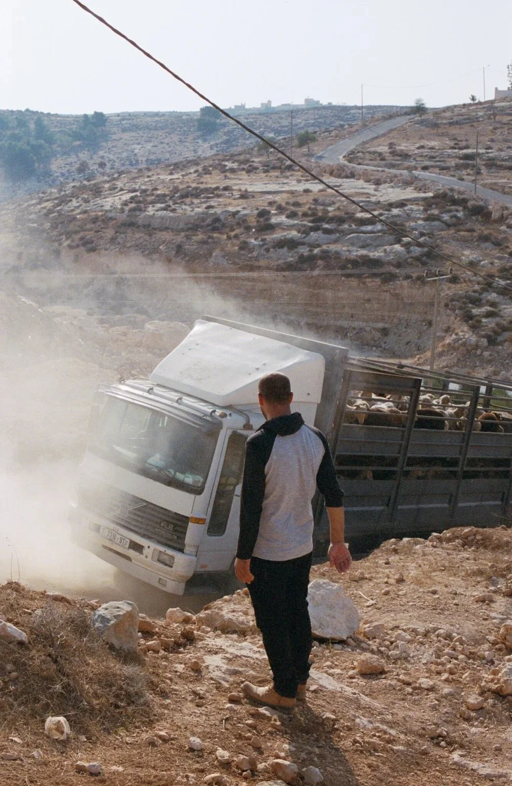  Sheep Farm, ad-Dhahiriya, Al-Khalil (Hebron), Palestine, 2018 