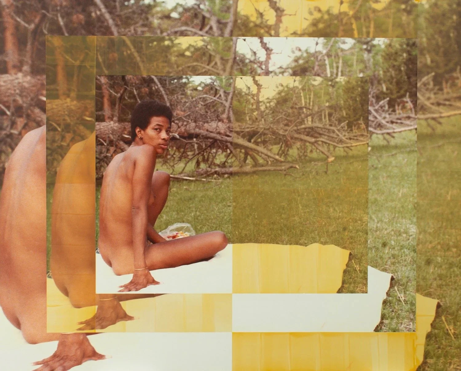  COME TO MY GARDEN, 2021, 50 x 40 x 1 5/8in. Pigment print mounted on museum board, encaustic on panel. 