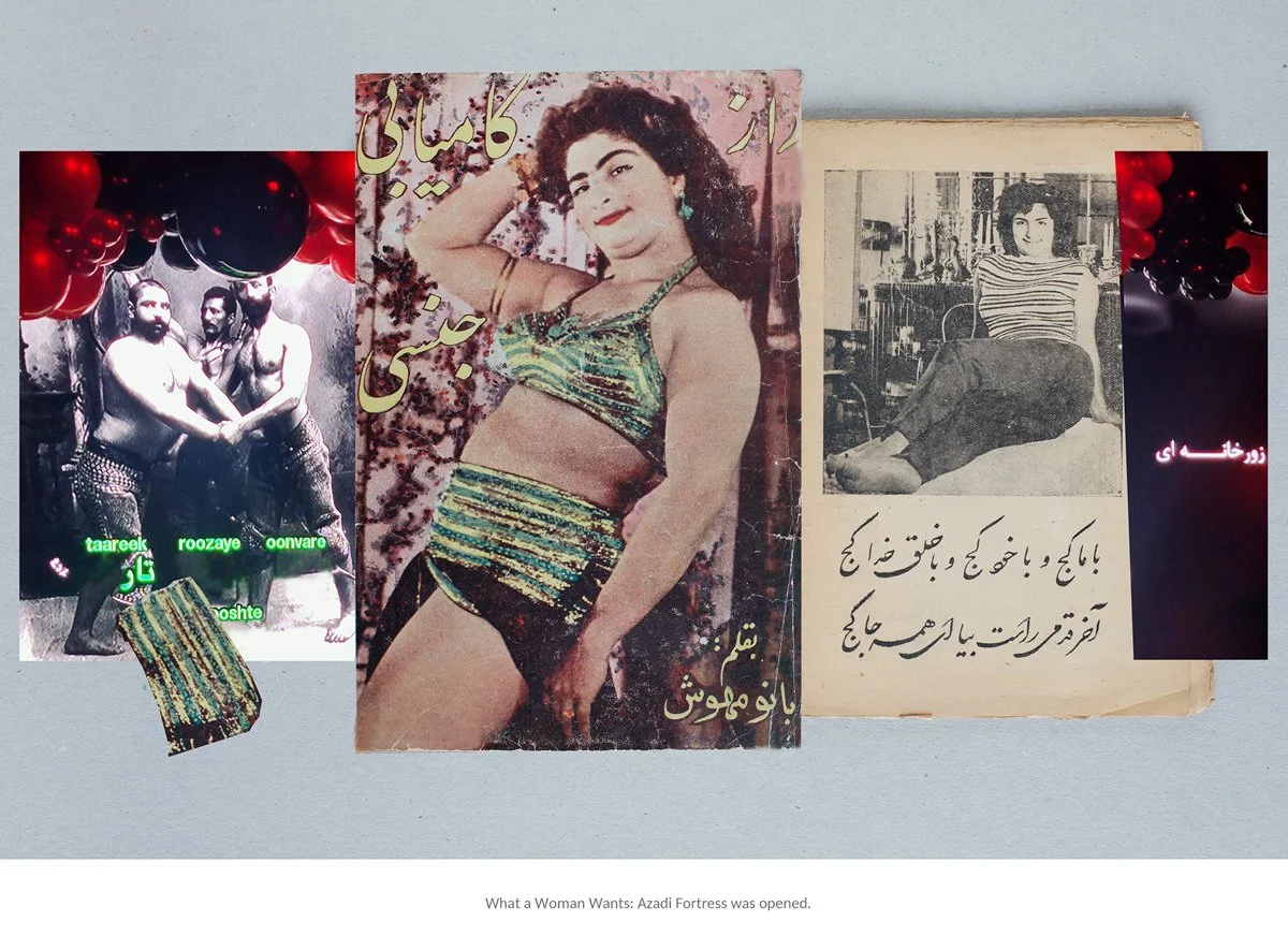 20240817-Hannah-Darabi-What-a-Woman-Wants- Mahvashs-Book-Of-Pleasure -2024-de-la-serie-Why-Dont-You-Dance-en-cours-©-Hannah-Darabi.jpg