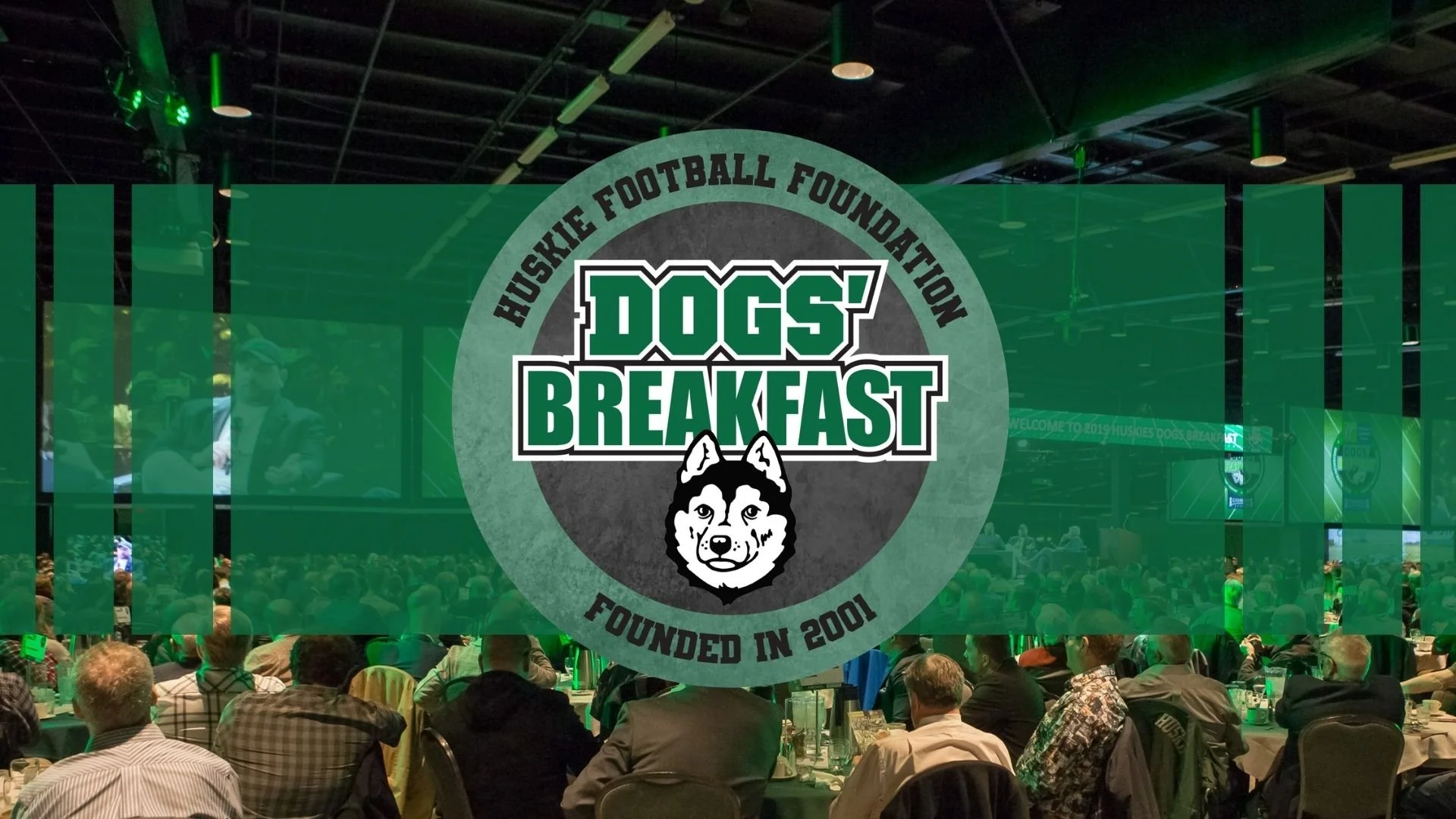 DOGS’ BREAKFAST XXV
