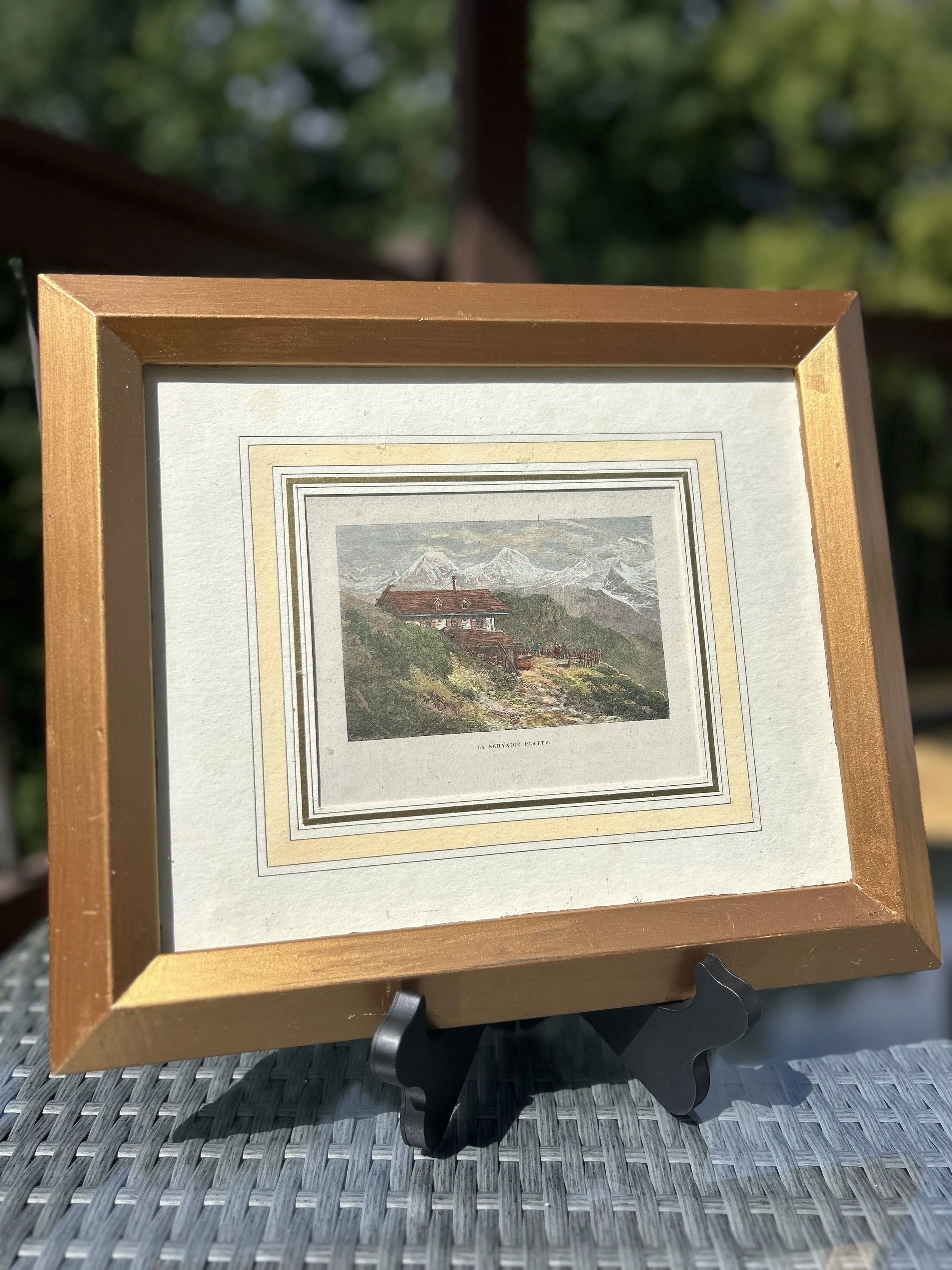 1873 La Schynige Platte woodblock hand colored engraving