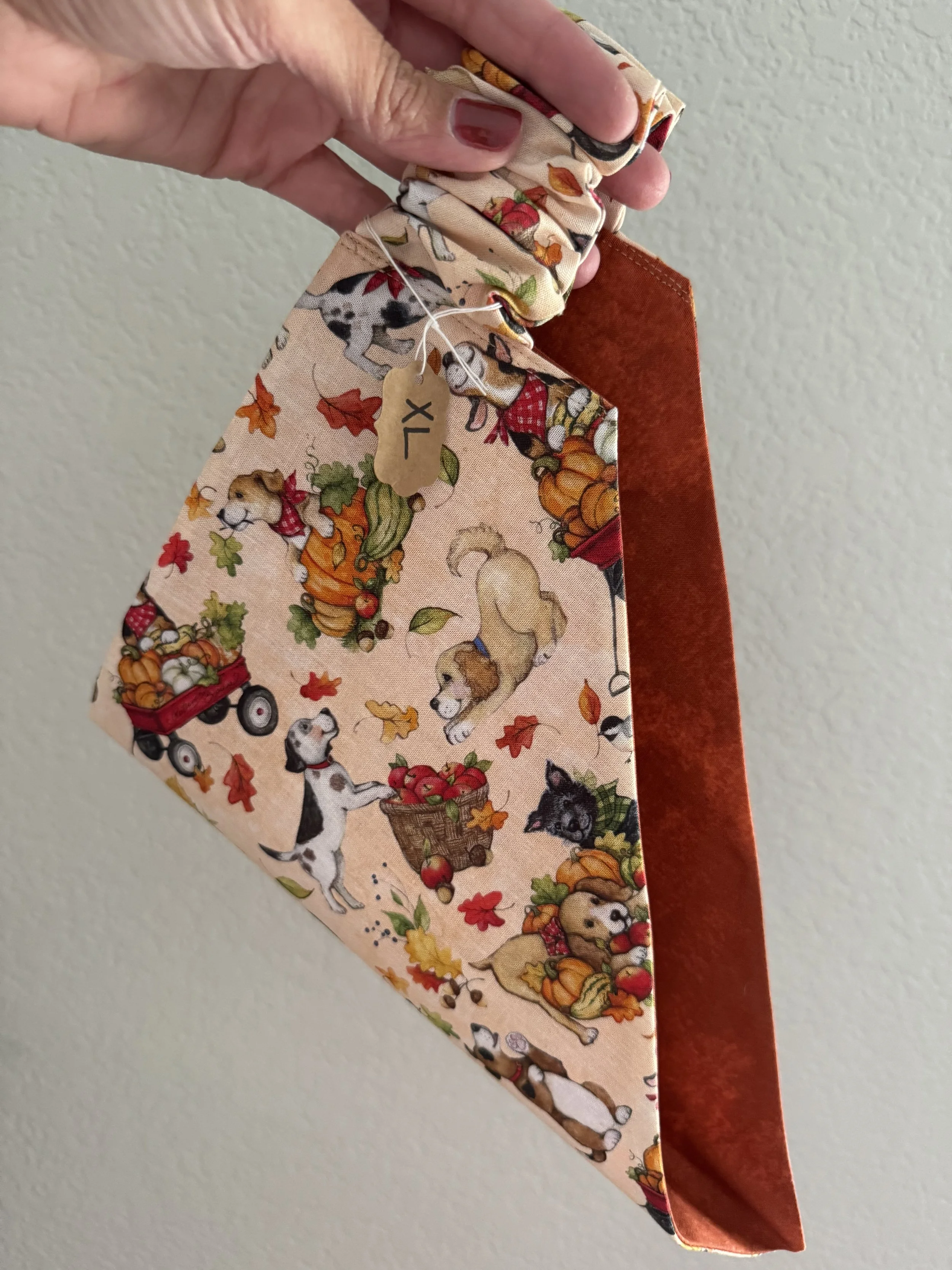 XL - Fall Friends Scrunchie Bandana