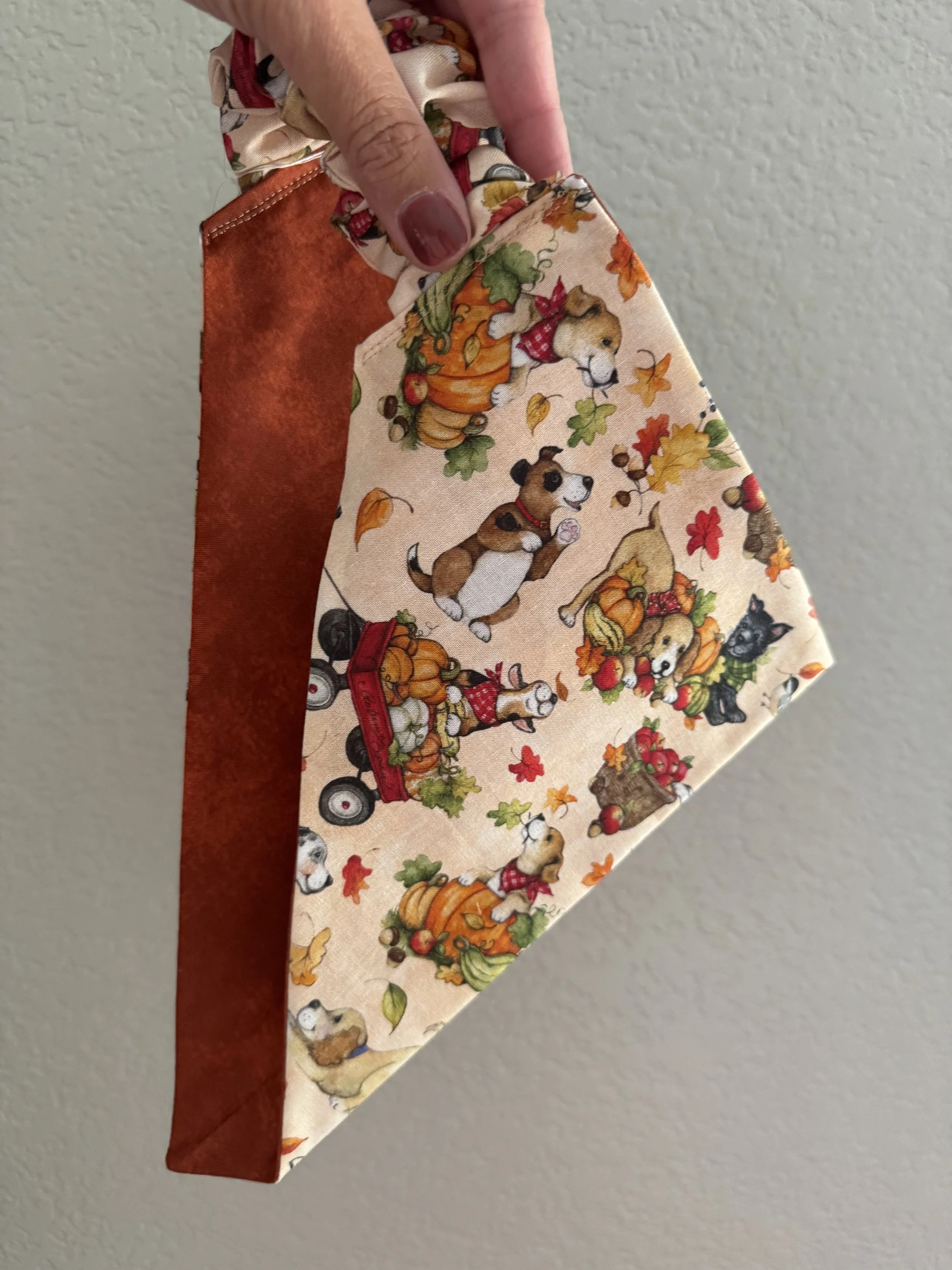 L - Fall Friends Scrunchie Bandana