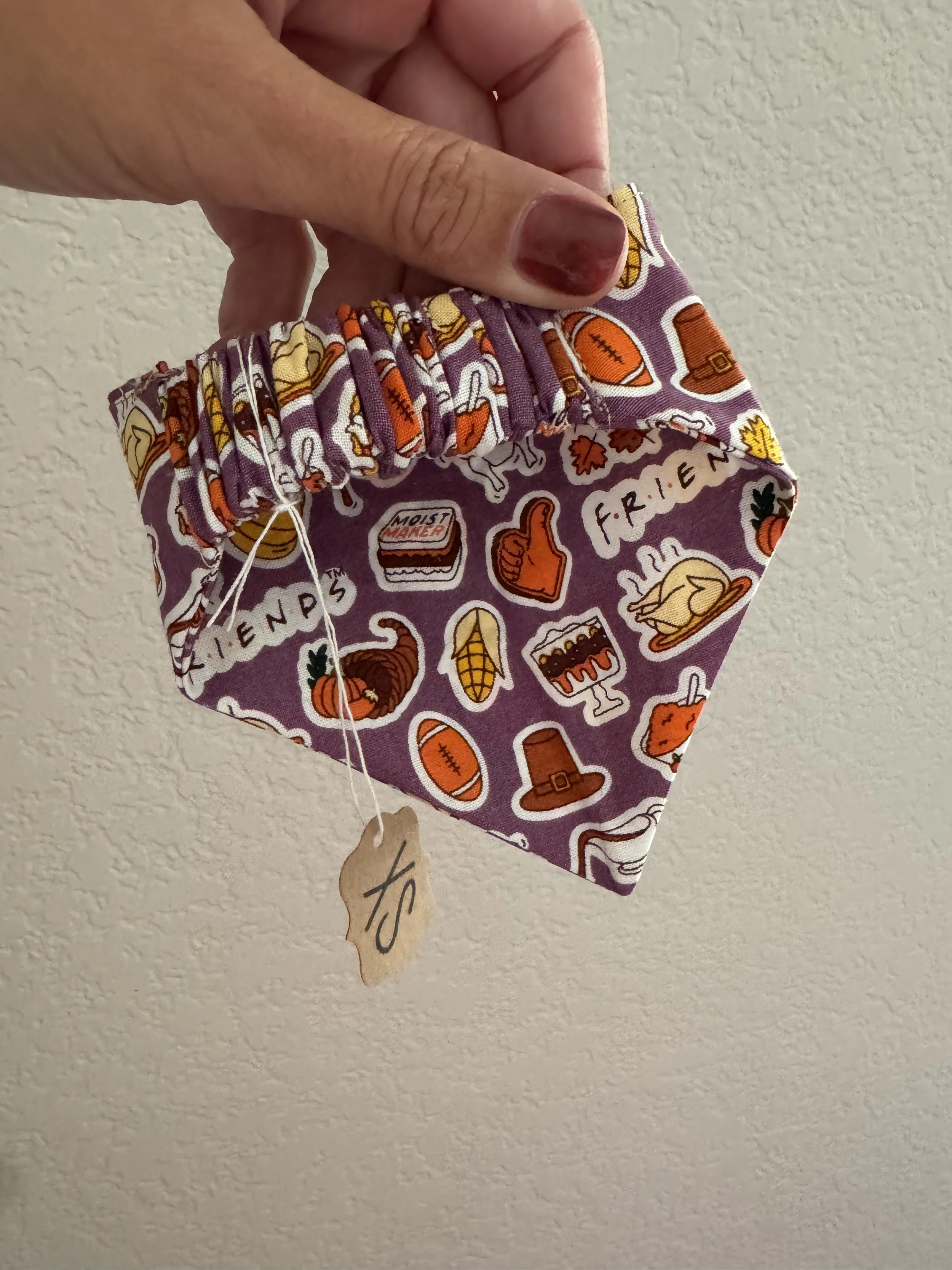 XS - Friendsgiving Scrunchie Bandana