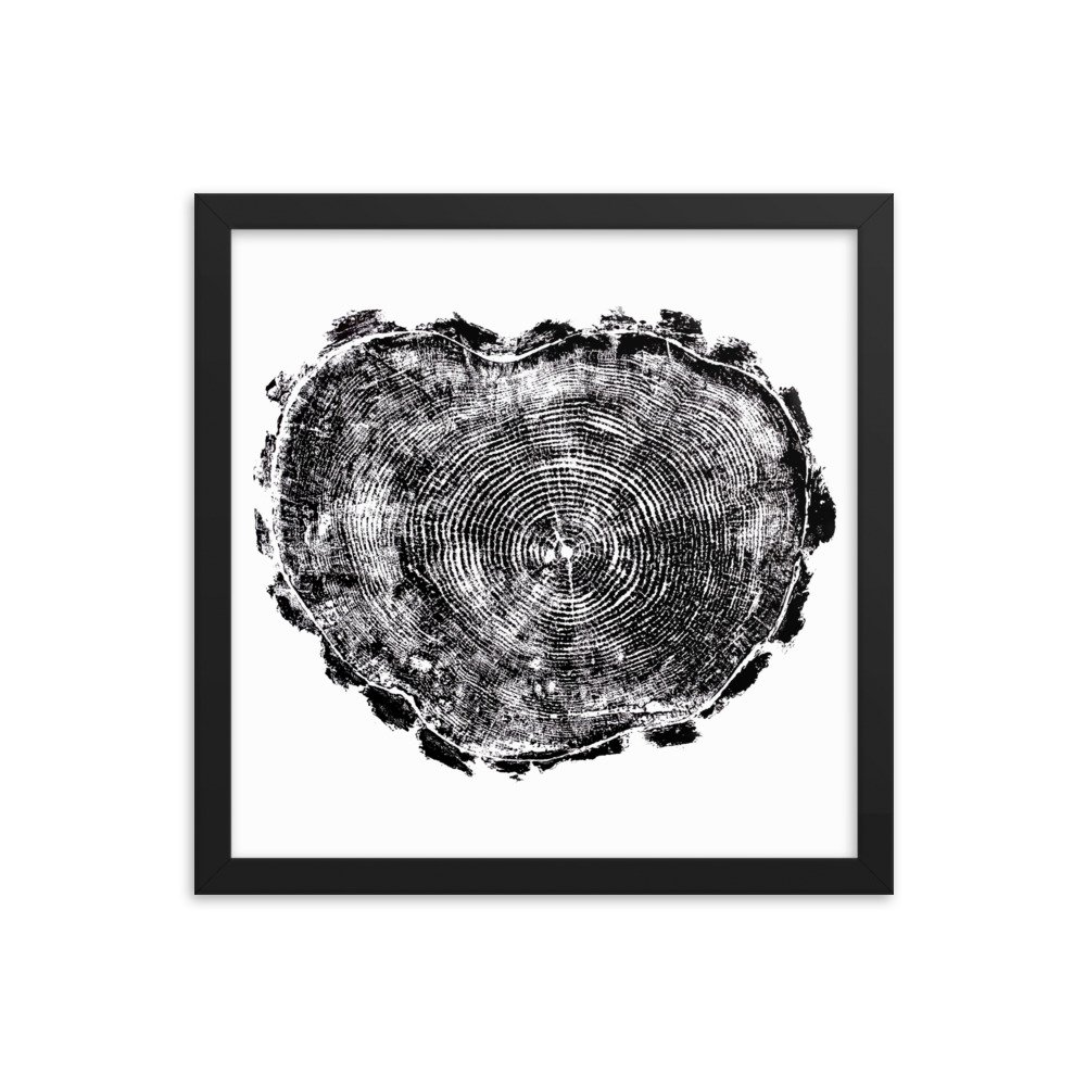 California Redwood - Fine Art Print