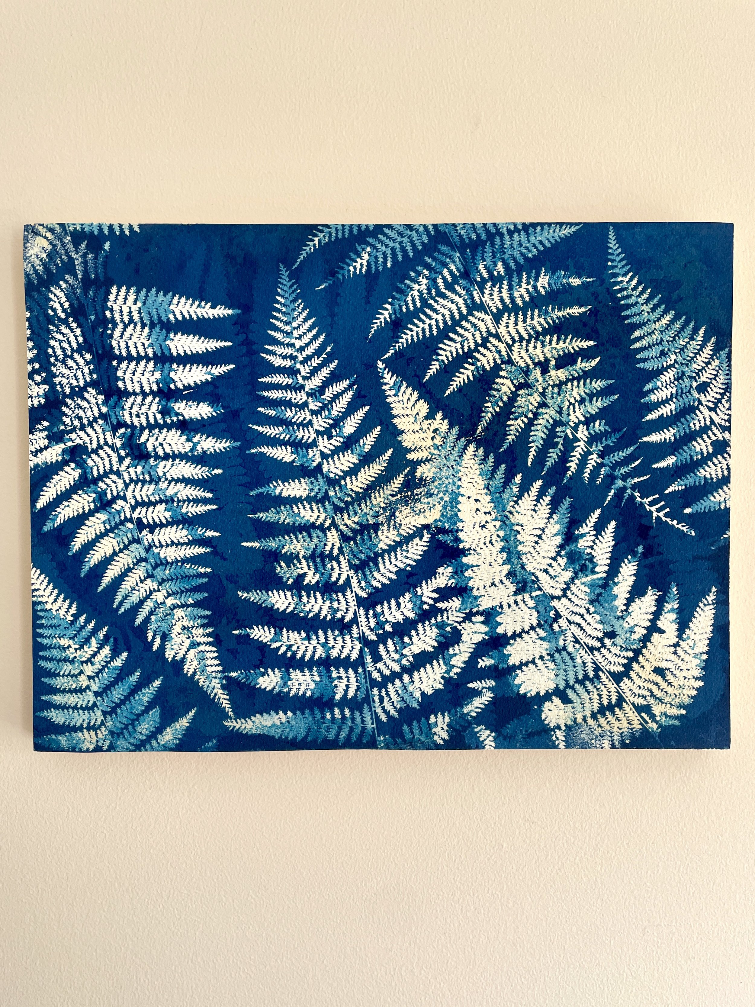 Cyanotype Ferns - Original Artwork
