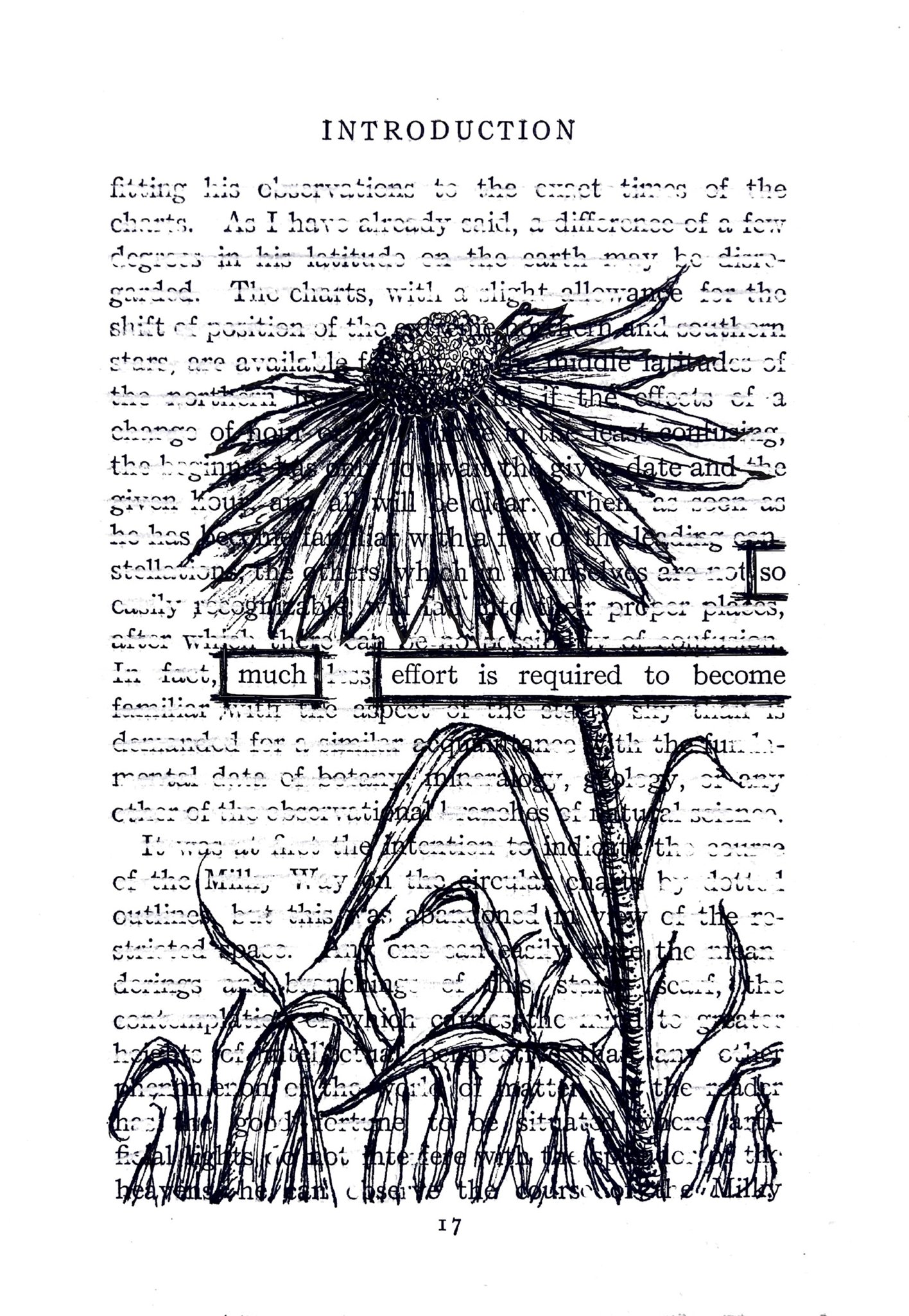 So Much Effort - Fine Art Print 5x7